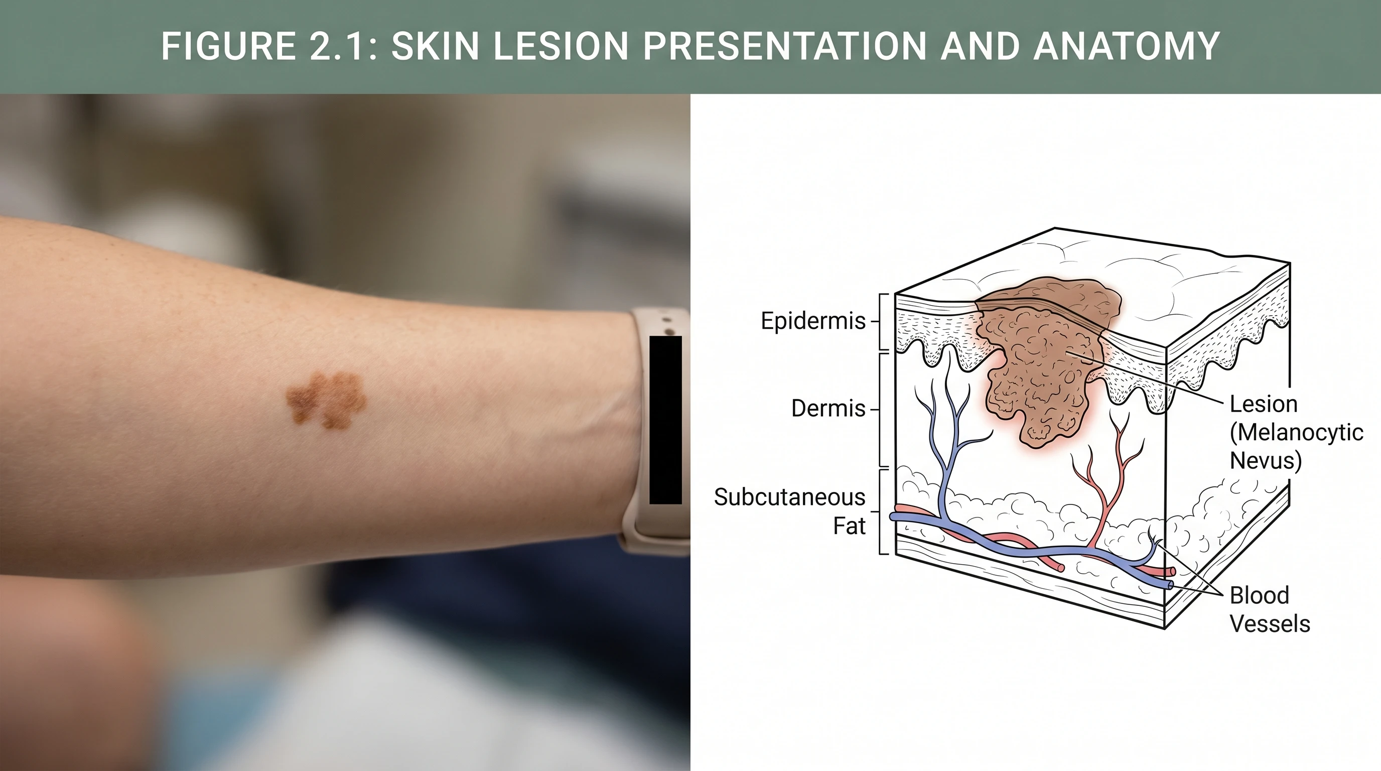 AI Medical Illustration for Researchers