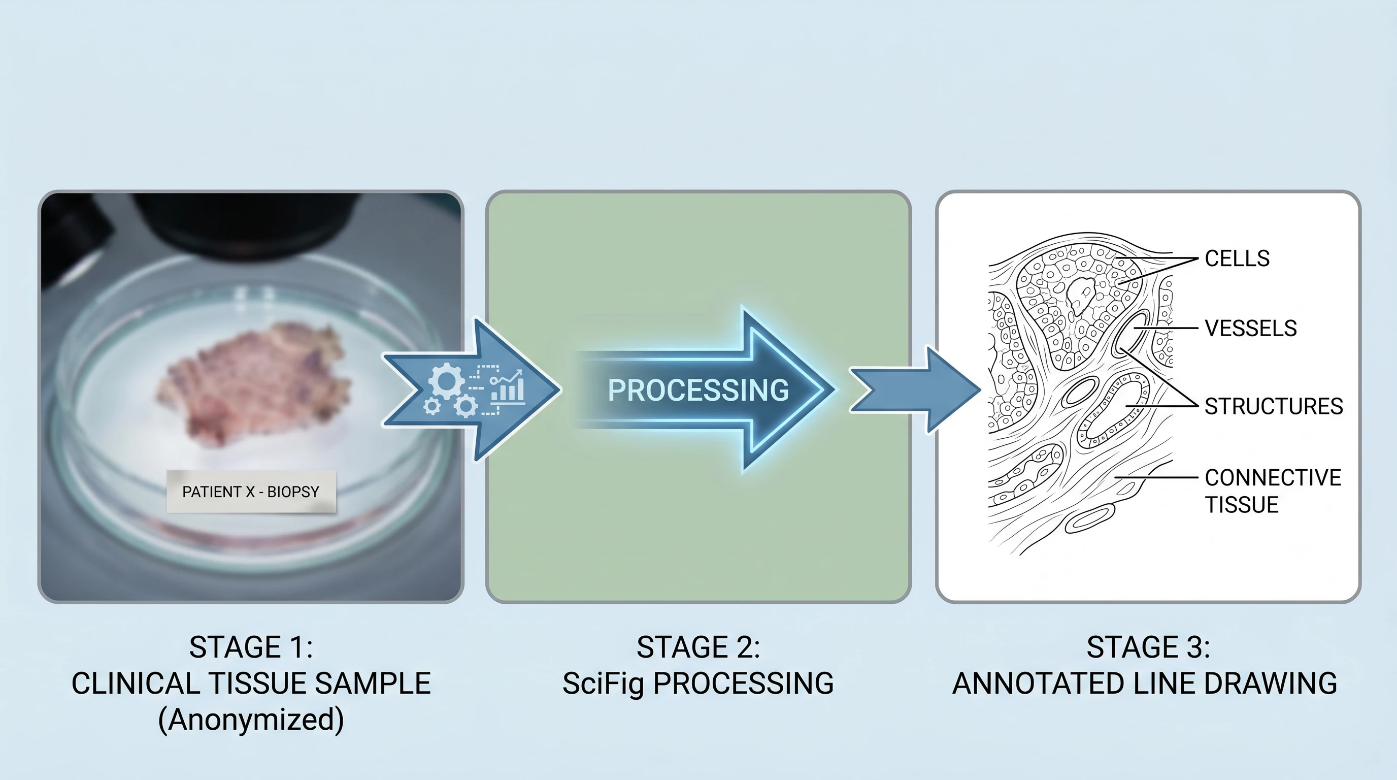 Three-stage clinical photo to medical line drawing AI workflow: upload, describe, generate output (Figure generated with SciFig)