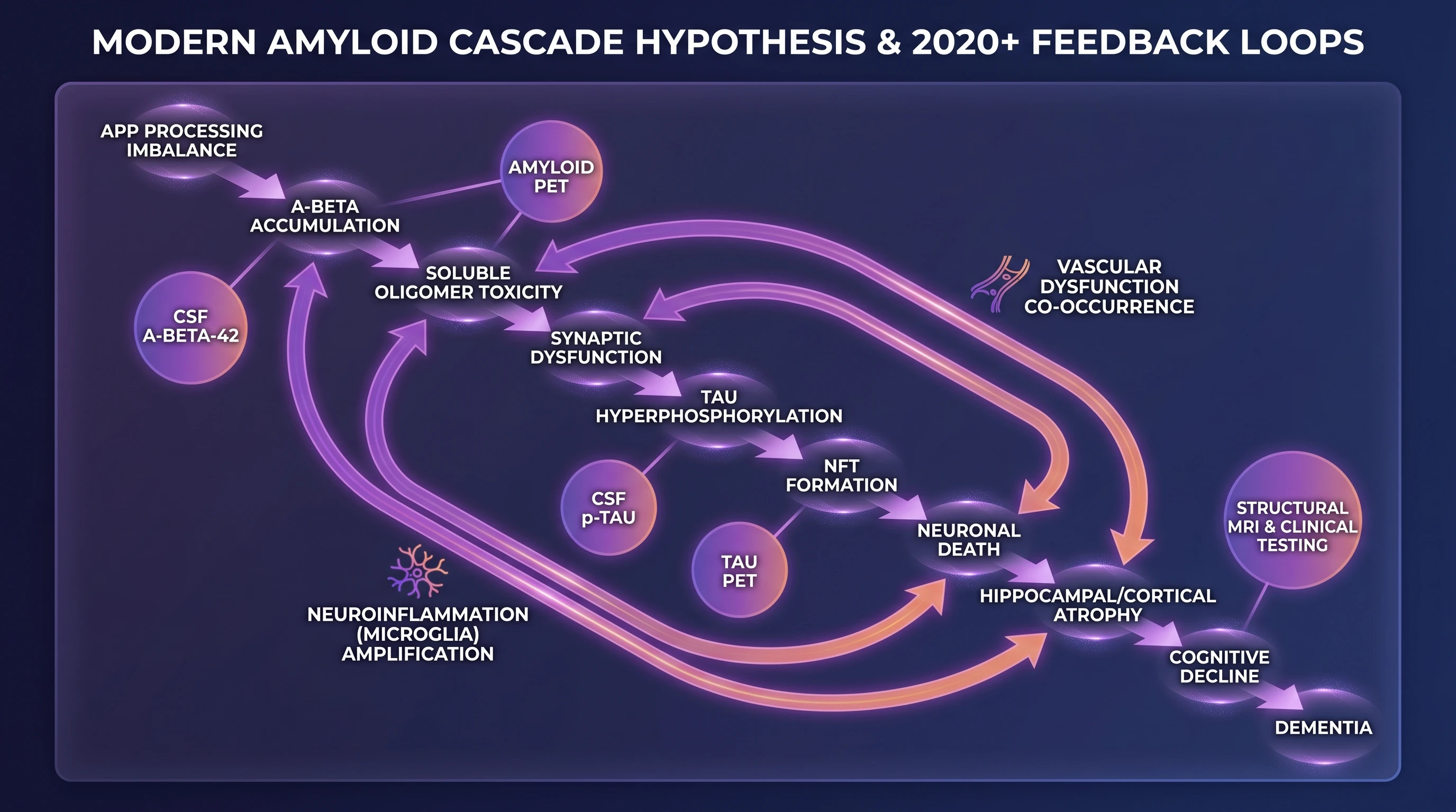 Modern amyloid cascade hypothesis showing Abeta accumulation triggering tau pathology, synaptic dysfunction, neuroinflammation feedback, and biomarker measurement points (Figure generated with SciFig)