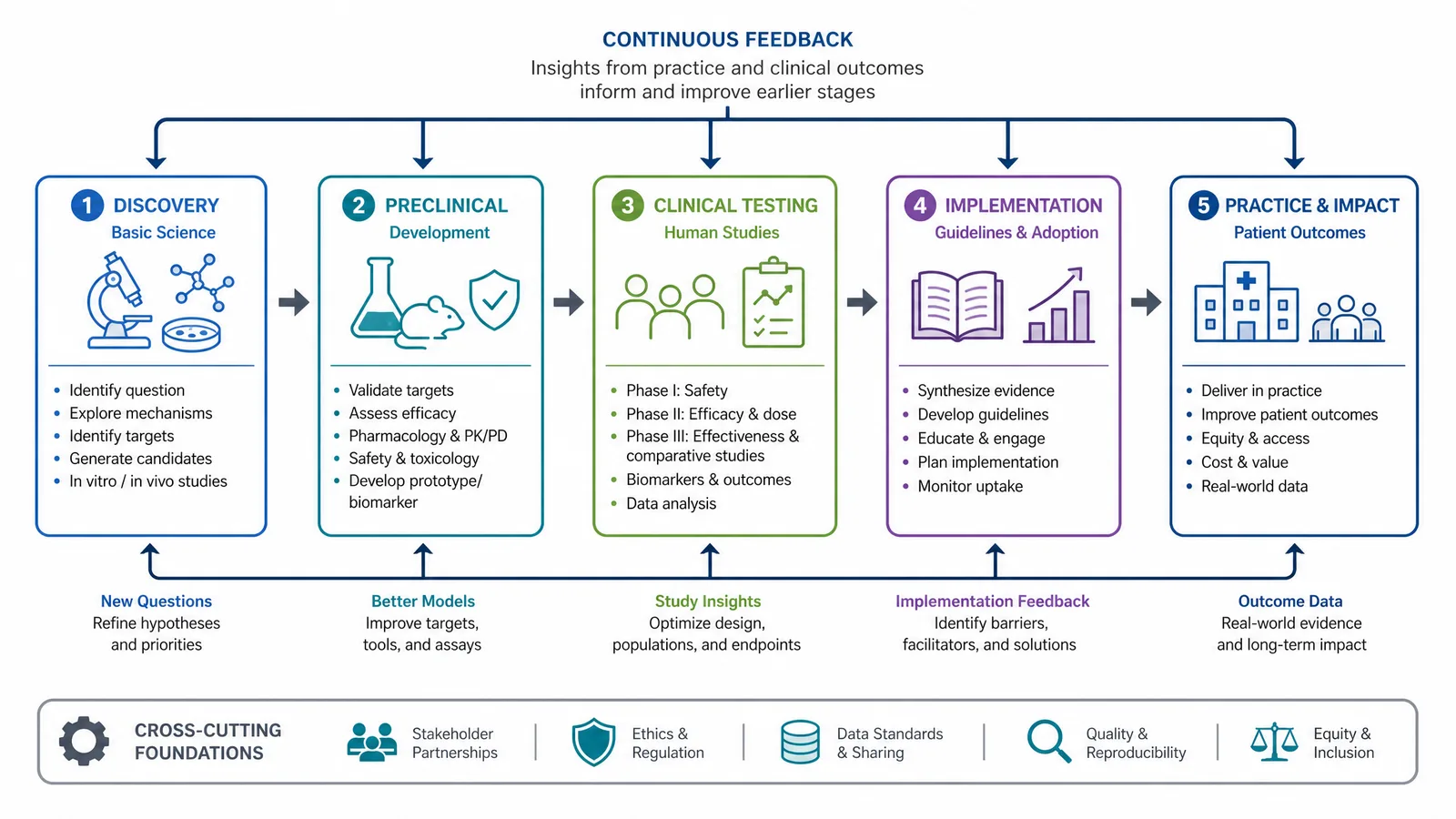 A translational research pipeline from laboratory discovery through clinical testing to practice, with feedback arrows (Figure generated with SciFig)