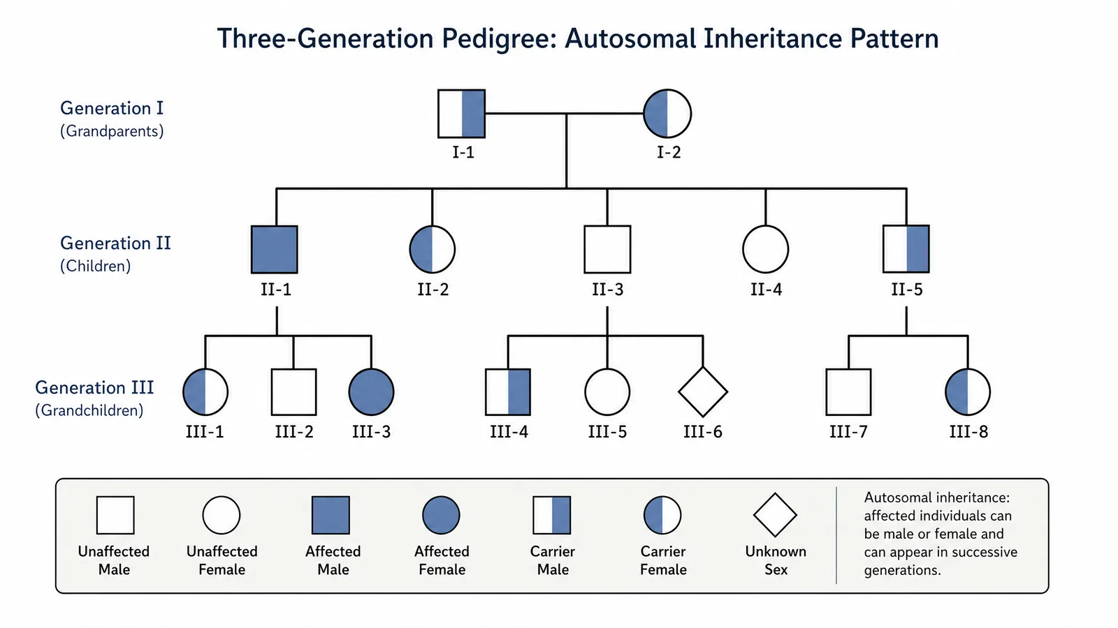 ASHG 2026 pedigree inheritance figure for a human genetics poster: a three-generation family tree with standard square, circle, and diamond symbols showing autosomal segregation of an inherited variant (Figure generated with SciFig)