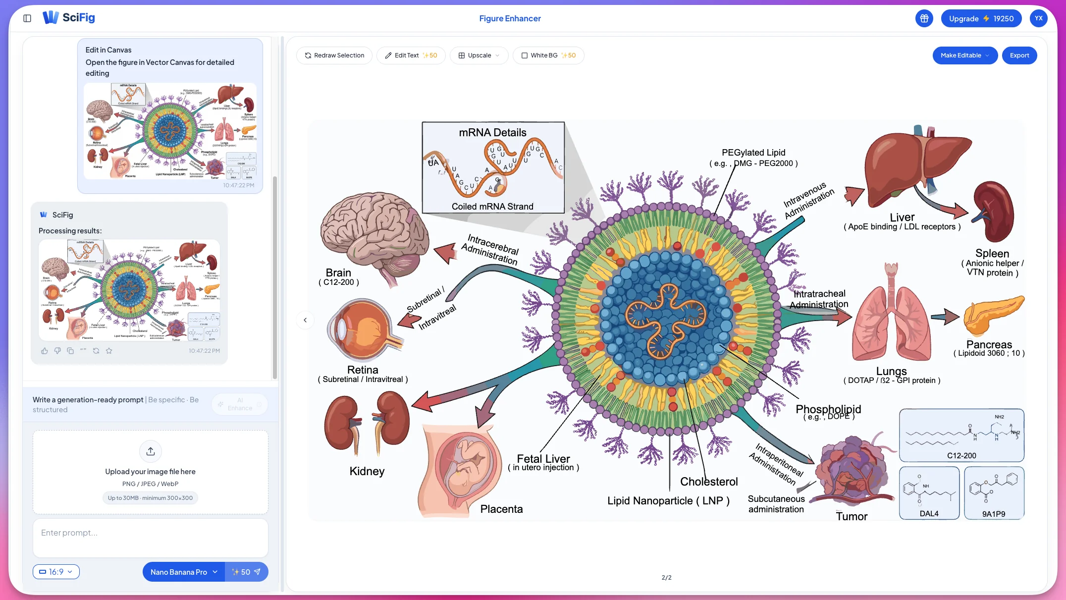 SciFig AI 科研插图生成界面:自然语言提示词输入 + 矢量编辑画布,出版级图自动生成(图片由 SciFig 生成)