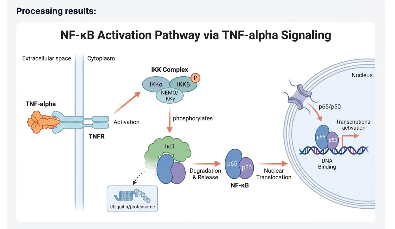 AI-generated NF-κB pathway diagram