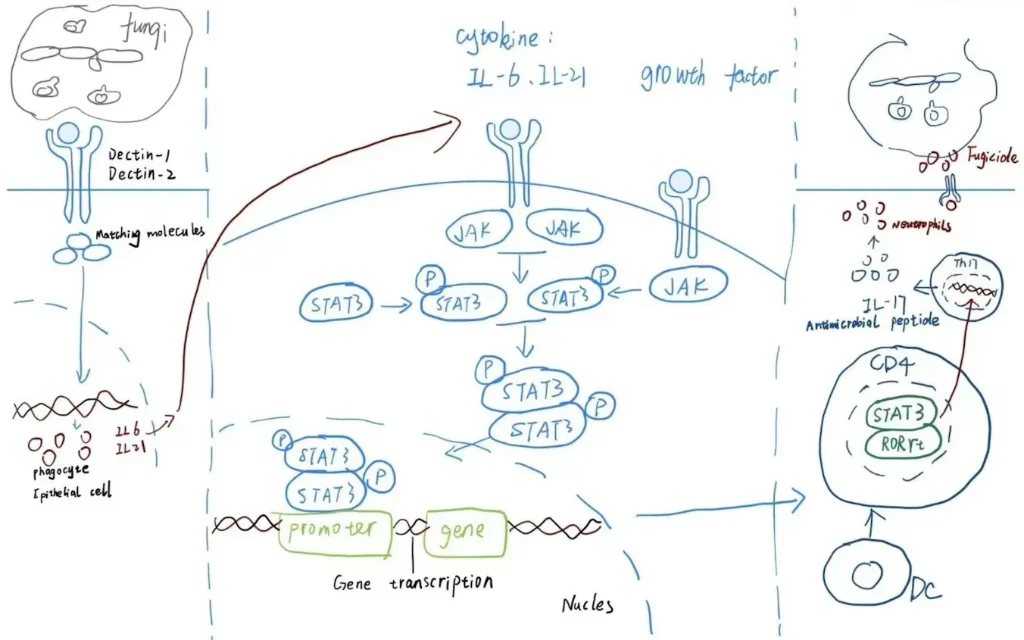 Uploading a hand-drawn pathway sketch