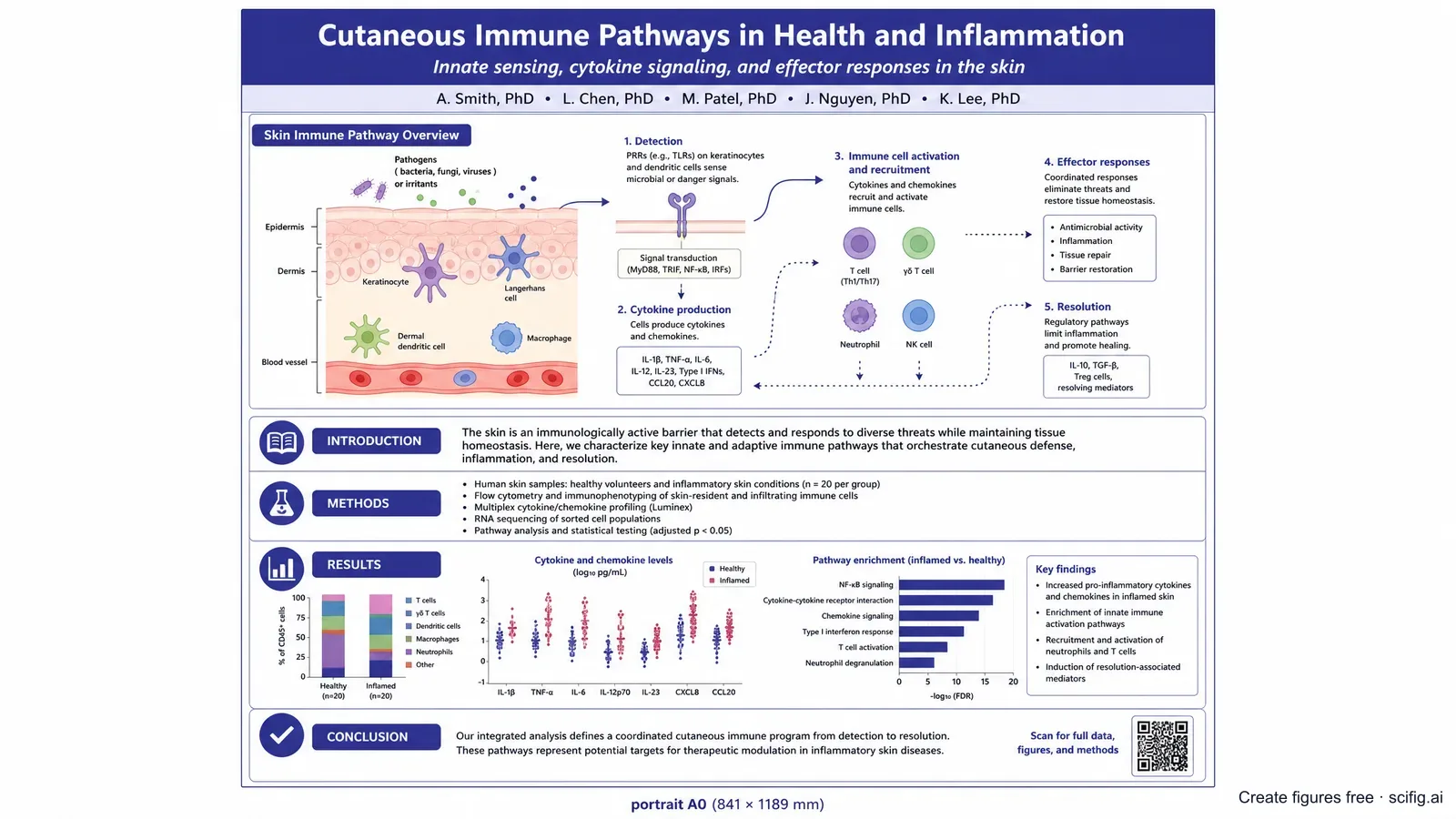 EADV 2026 ePoster template: an A0 portrait single-page layout with a title bar, author row, a hero skin immune pathway figure, and introduction, methods, results, and conclusion panels for a dermatology ePoster (Figure generated with SciFig)