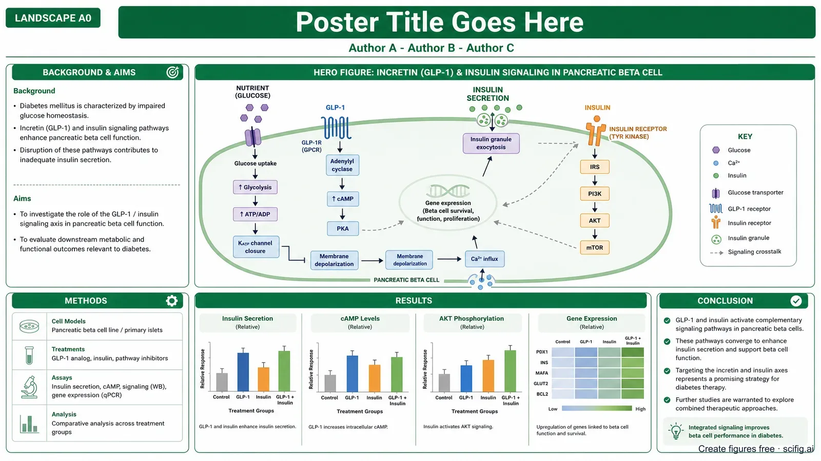 EASD 2026 ePoster template: a landscape A0 single-page layout with a title bar, author row, a hero metabolic pathway figure, and Background-aims, methods, results, and conclusion panels for a diabetes short oral ePoster (Figure generated with SciFig)