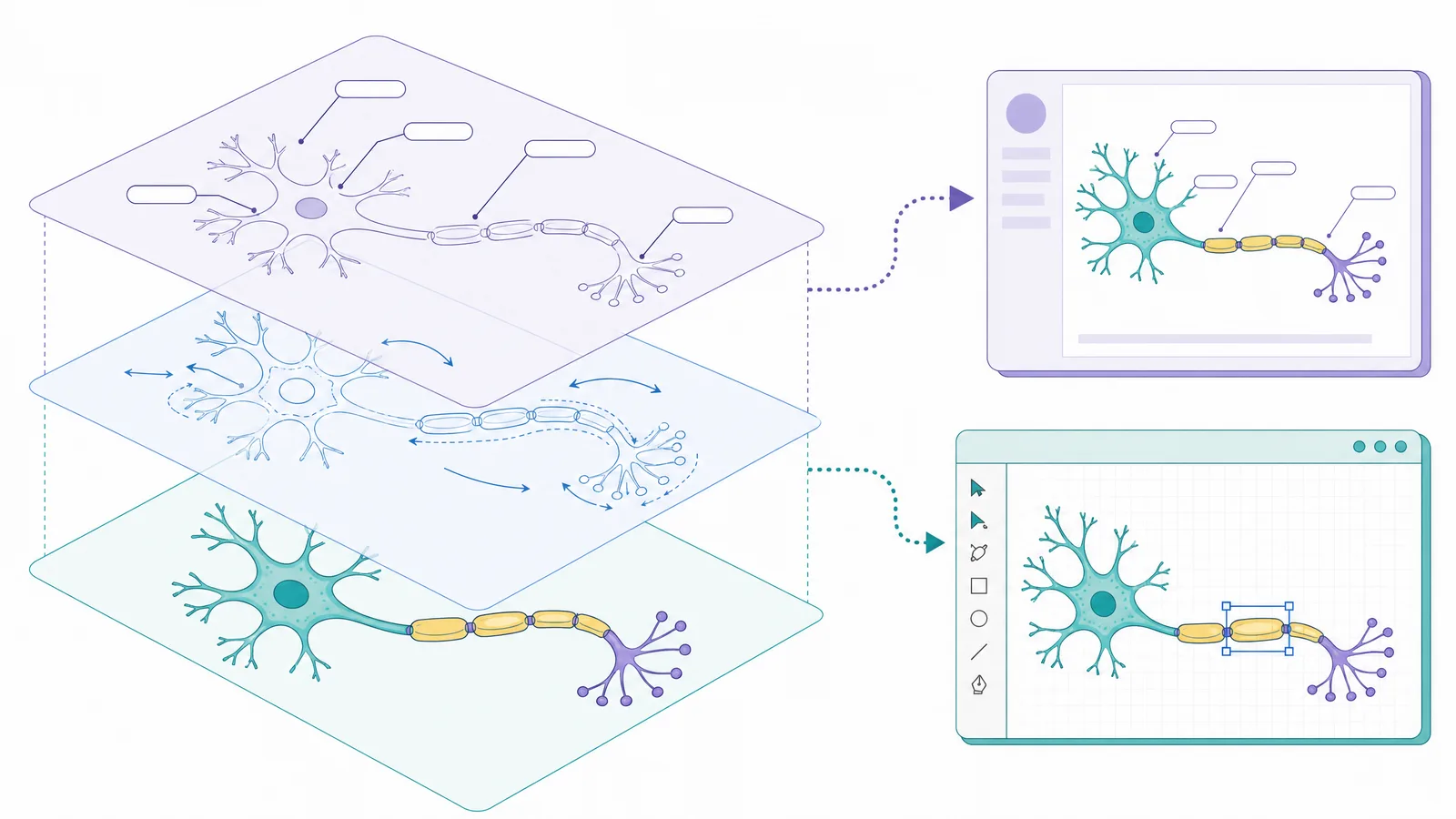 An AI scientific illustration separating into editable vector layers for text, shapes and arrows, flowing into a slide and a vector editor (Figure generated with SciFig)