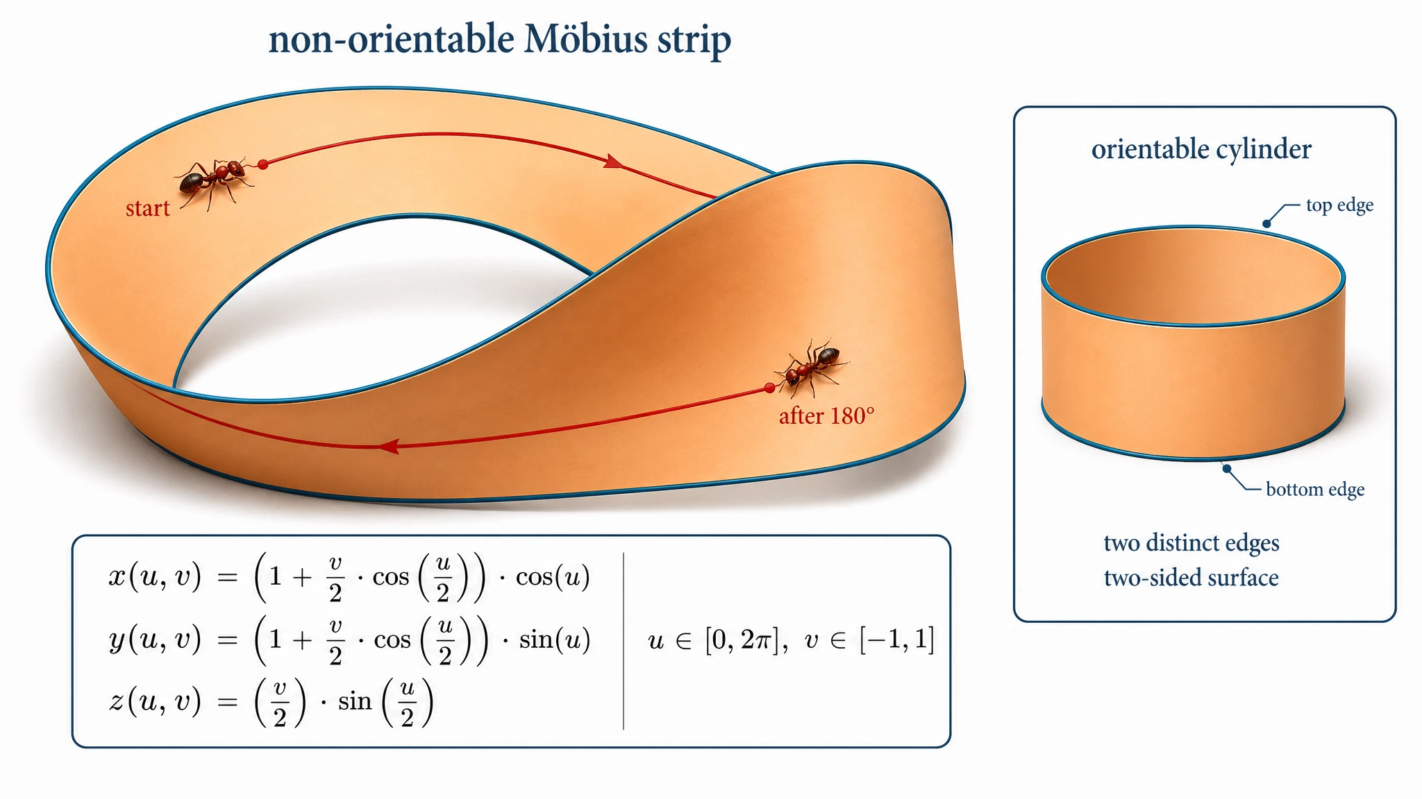 GPT Image 2: Möbiusband in 3D mit sichtbarer Halbverdrehung und orientierbarem Zylinder-Inset zum Vergleich und Parametergleichung