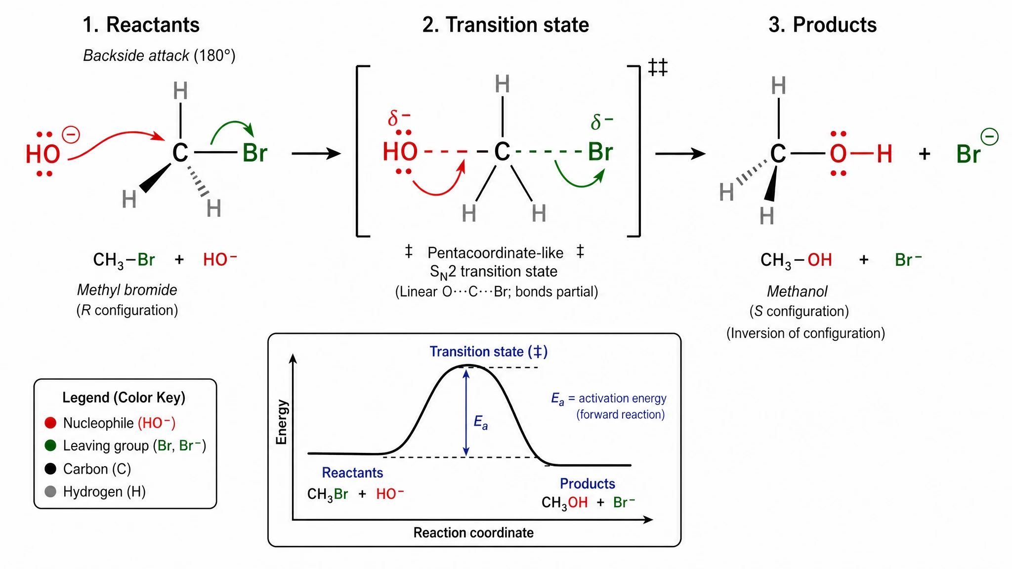 GPT Image 2: SN2-Substitutionsmechanismus mit vollständiger Chemie-Notation einschließlich Doppel-Dolch-Übergangszustand, R-S-Stereochemie und Element-Farb-Legende