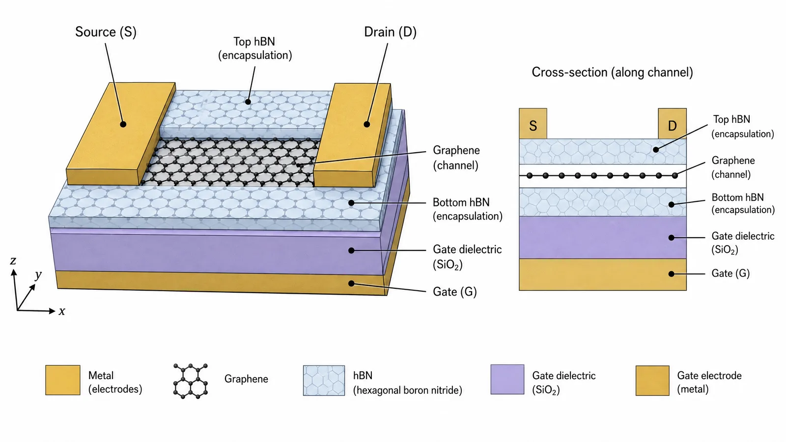 Graphene Week 2026 device schematic figure for a 2D materials poster: a graphene field-effect transistor with source and drain contacts, an hBN encapsulation layer, and a labeled gate stack (Figure generated with SciFig)