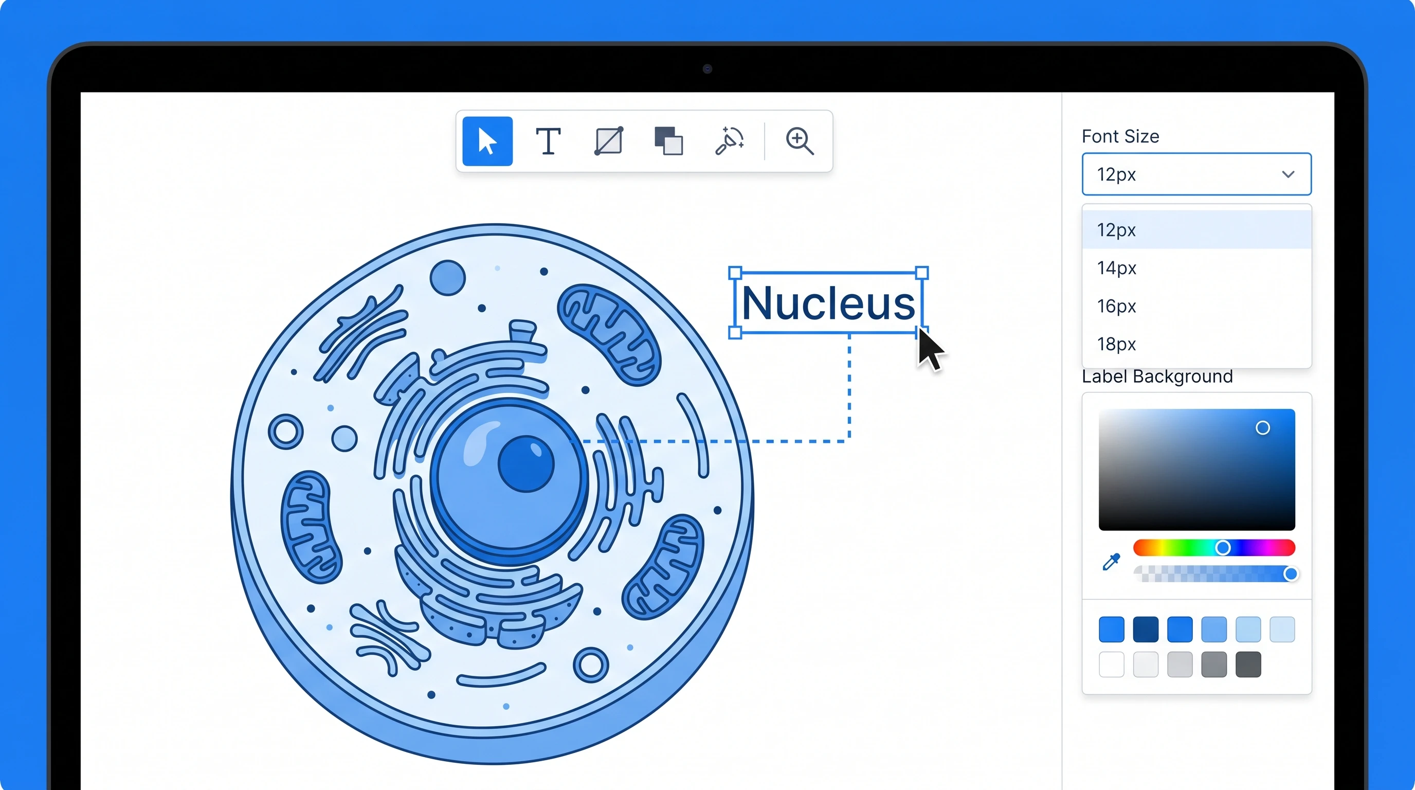 Vector canvas mockup: editable cell diagram labels (Figure generated with SciFig)