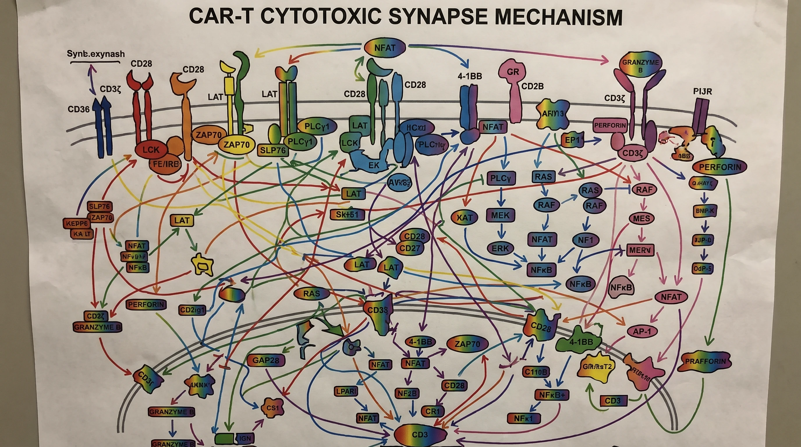 Bad CAR-T mechanism: cluttered diagram with 30+ molecules and overlapping arrows (Illustrative AI mockup · Figure generated with SciFig)