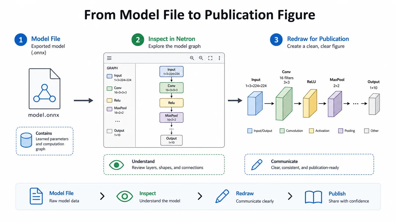 A workflow showing a model file inspected in Netron, then rebuilt as a clean publication figure (Figure generated with SciFig)