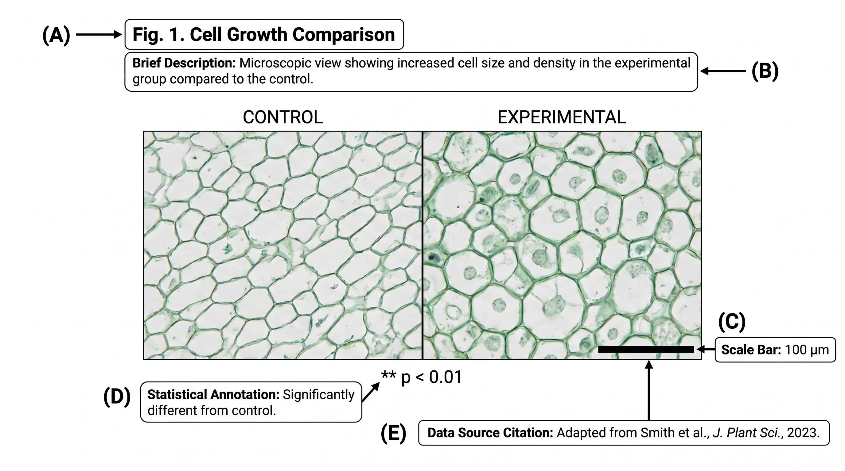 Caption anatomy: panel labels, description, scale bar, statistics, citation (Figure generated with SciFig)