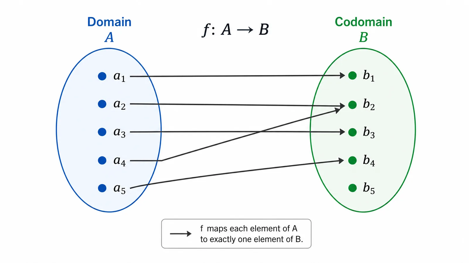 A mapping diagram with domain and codomain ovals and arrows connecting elements (Figure generated with SciFig)