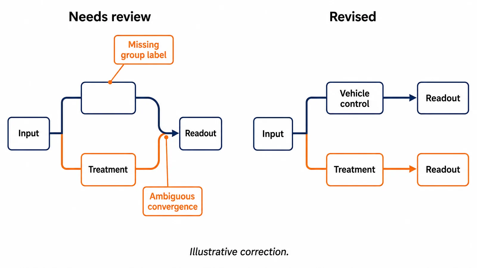 A workflow review example highlighting a missing control label, an ambiguous convergence, and a corrected version with separate measurement paths (Figure generated with SciFig)