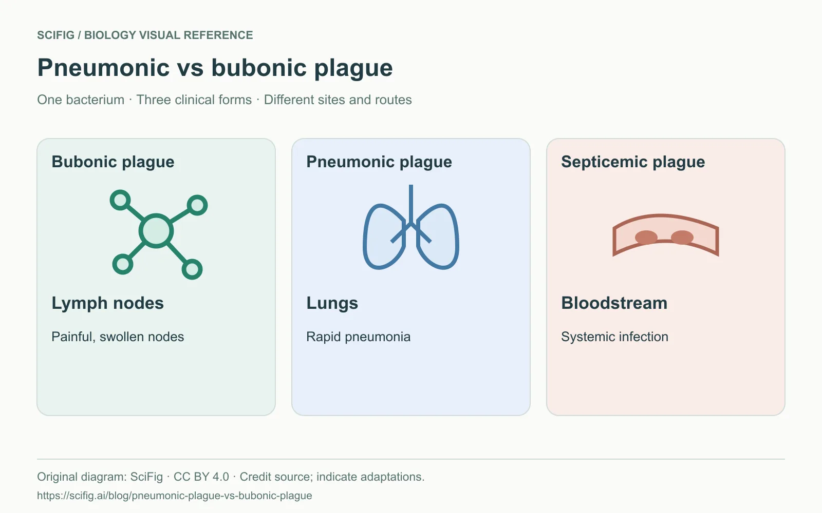 Pneumonic Plague vs Bubonic Plague: Chart & Diagrams