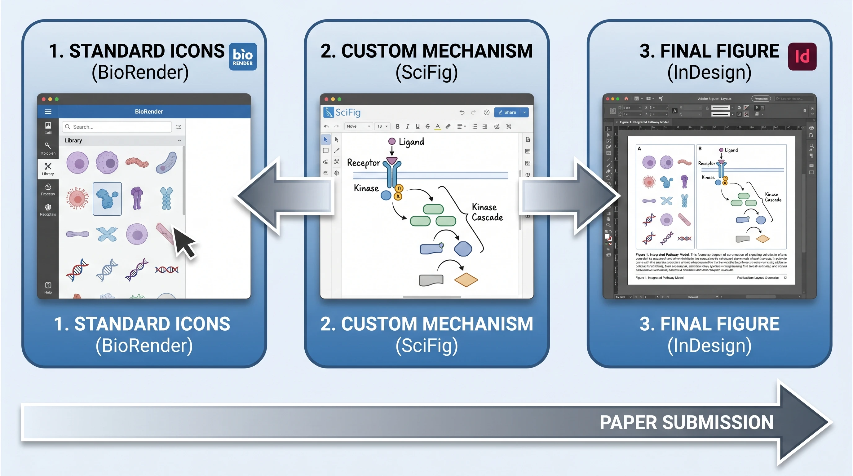 Coexist workflow: BioRender icons + SciFig custom + final assembly (Figure generated with SciFig)