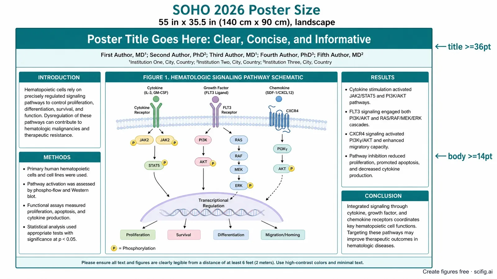 SOHO 2026 poster size and template: a 55 x 35.5 in landscape layout with title bar, author band, and multi-column introduction, methods and results panels (Figure generated with SciFig)