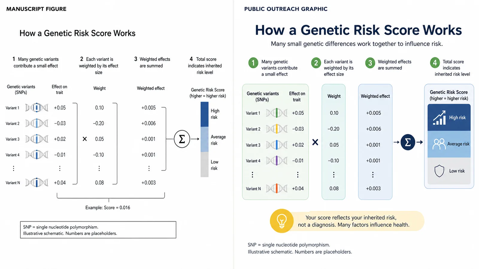 The same result rendered twice, once as a manuscript figure and once as a public outreach graphic (Figure generated with SciFig)