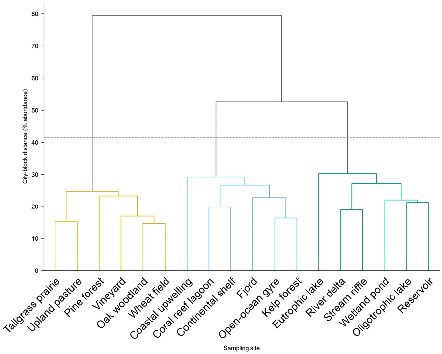 Dendrogram — Microbial community clustering