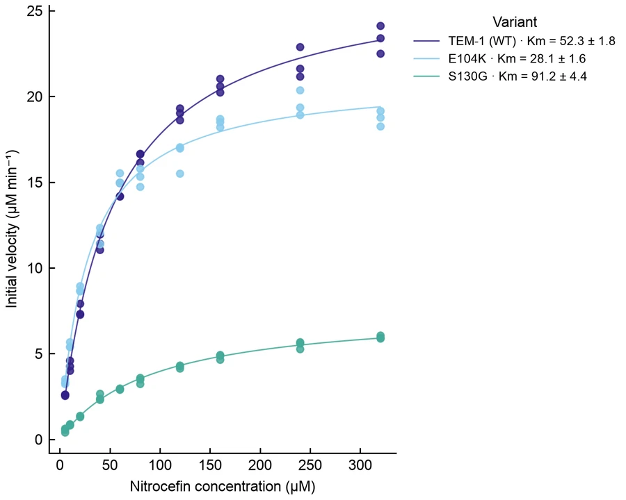 Enzyme kinetics — β-Lactamase kinetics