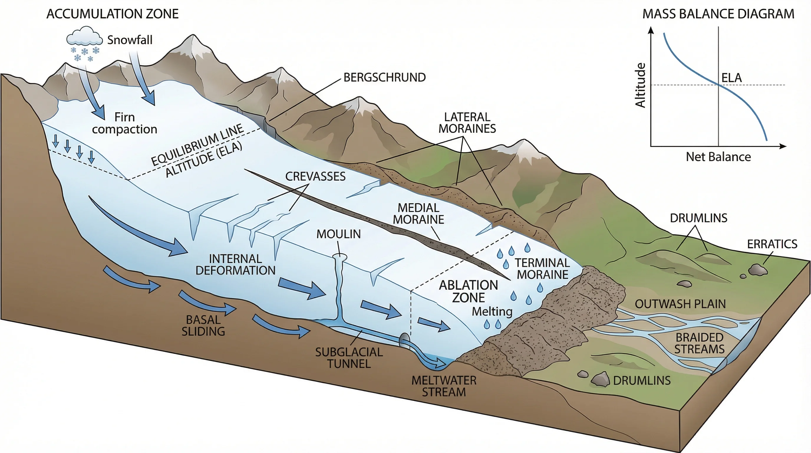 Glacier Dynamics And Moraine Formation