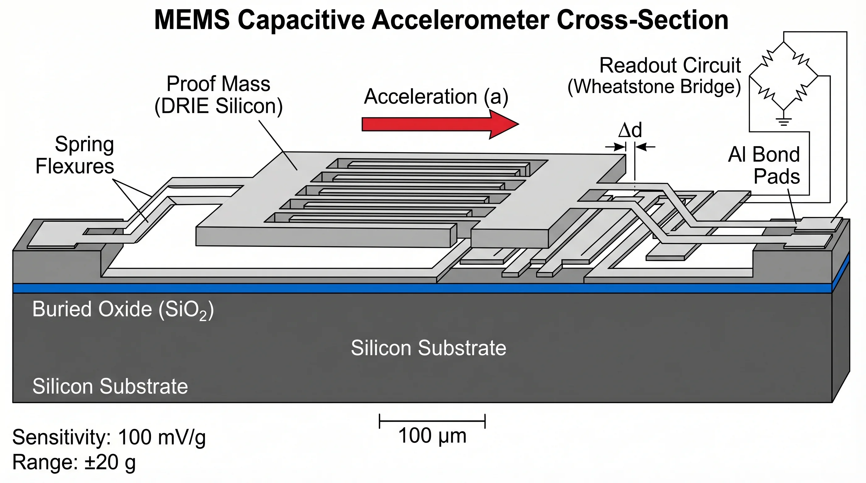 MEMS Accelerometer Cross Section
