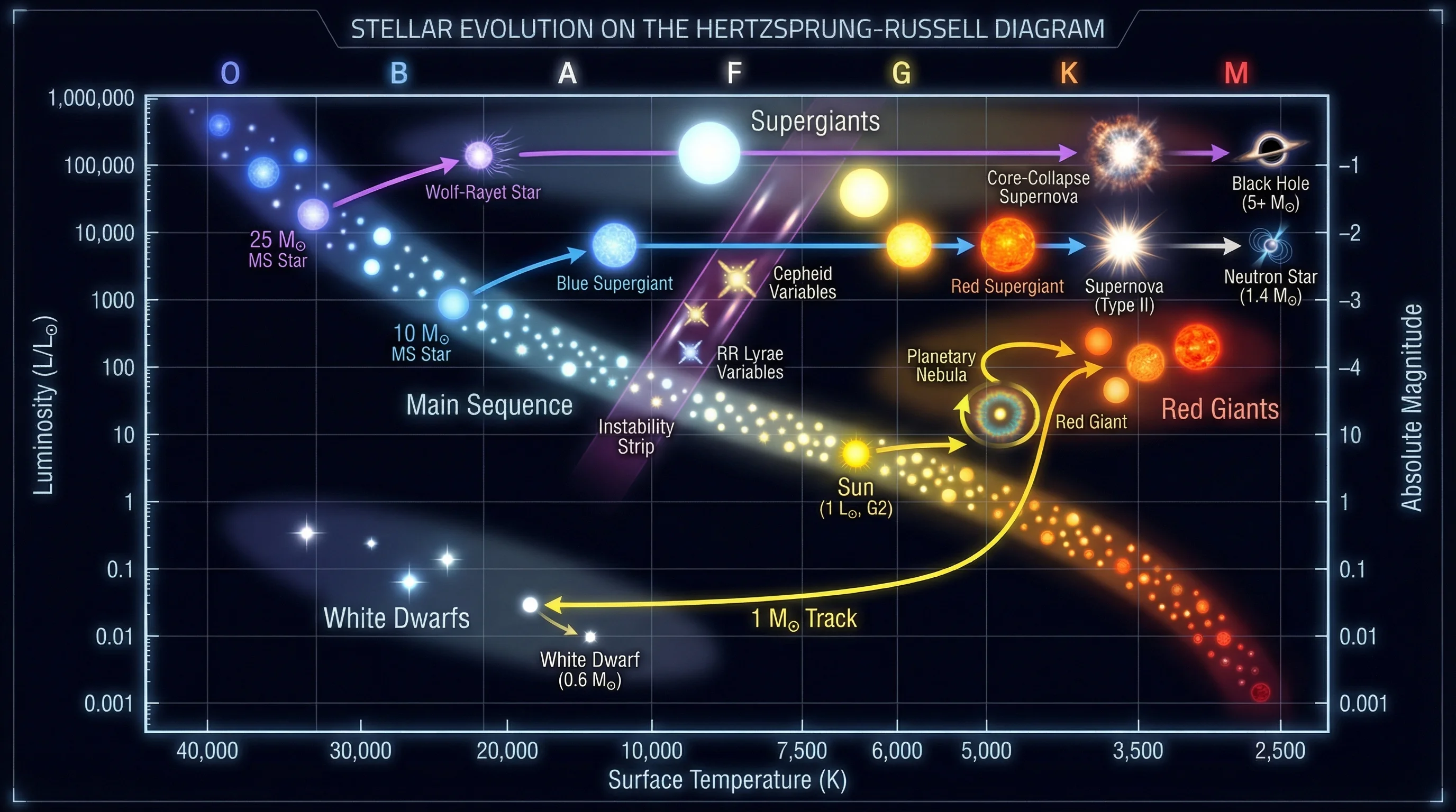 Stellar Evolution HR Diagram