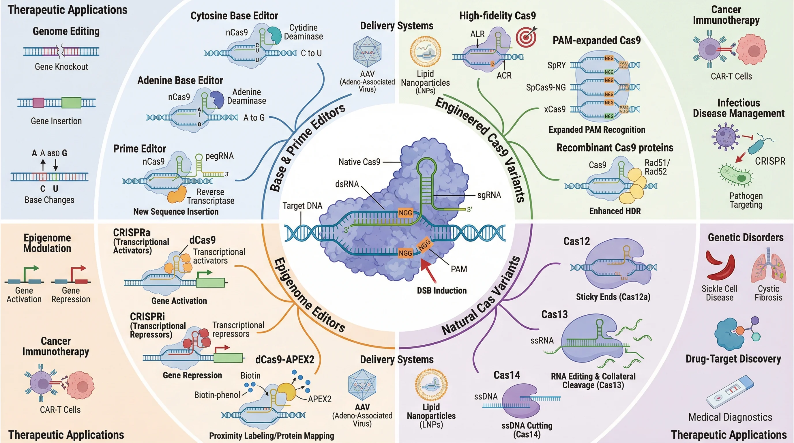 CRISPR Cas Technology Evolution And Applications