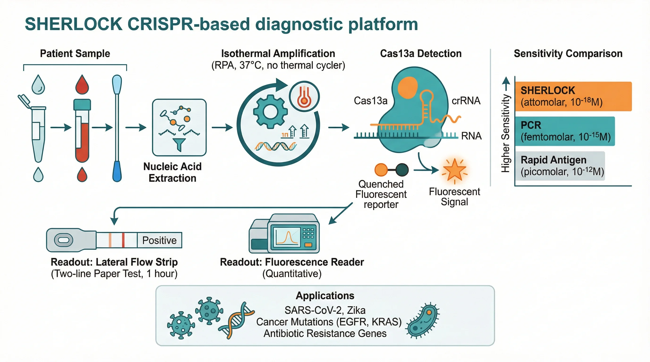 CRISPR 診斷 SHERLOCK 平台