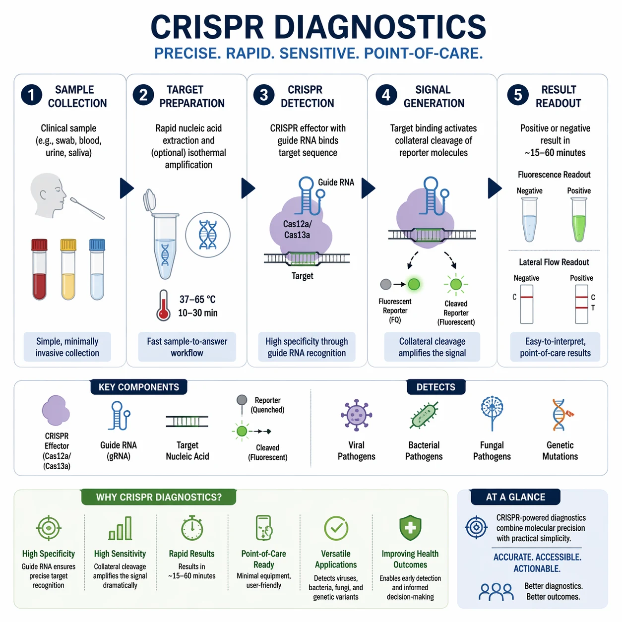 GPT Image 2 CRISPR-Diagnostik-Grafische-Zusammenfassung