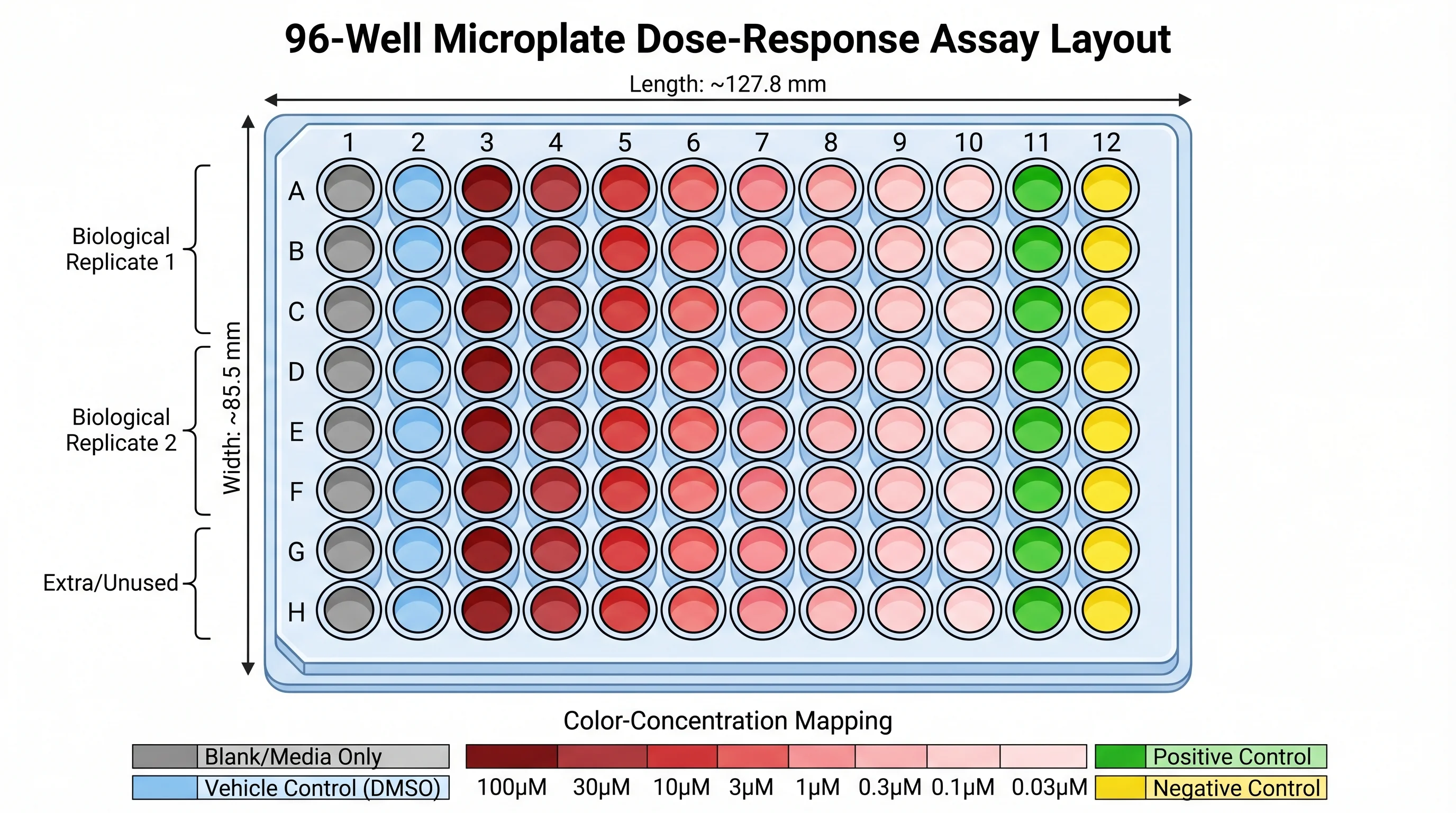 96 Well Plate Experimental Layout