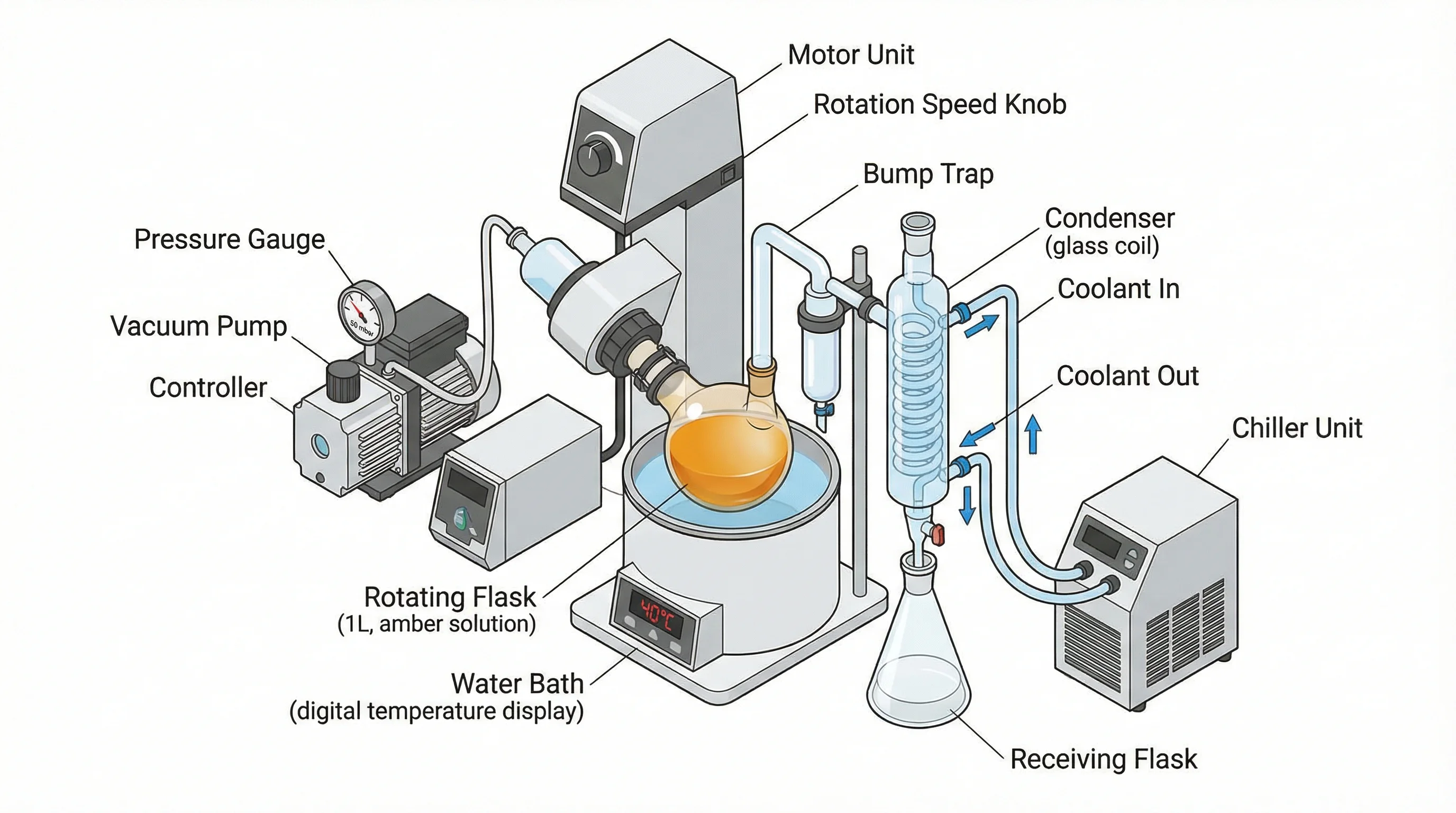 Rotary Evaporator Setup