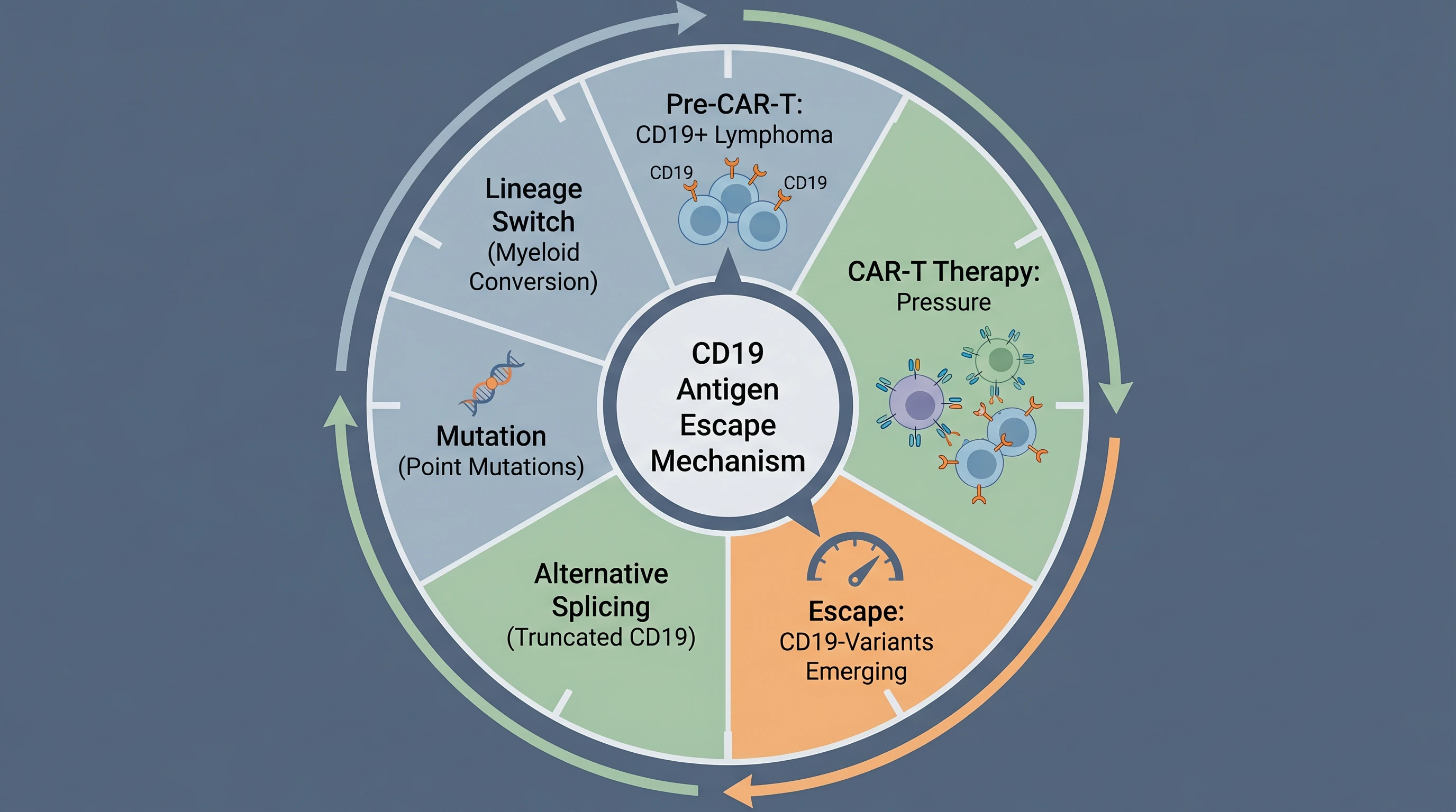 CD19 Antigen Escape After CAR-T