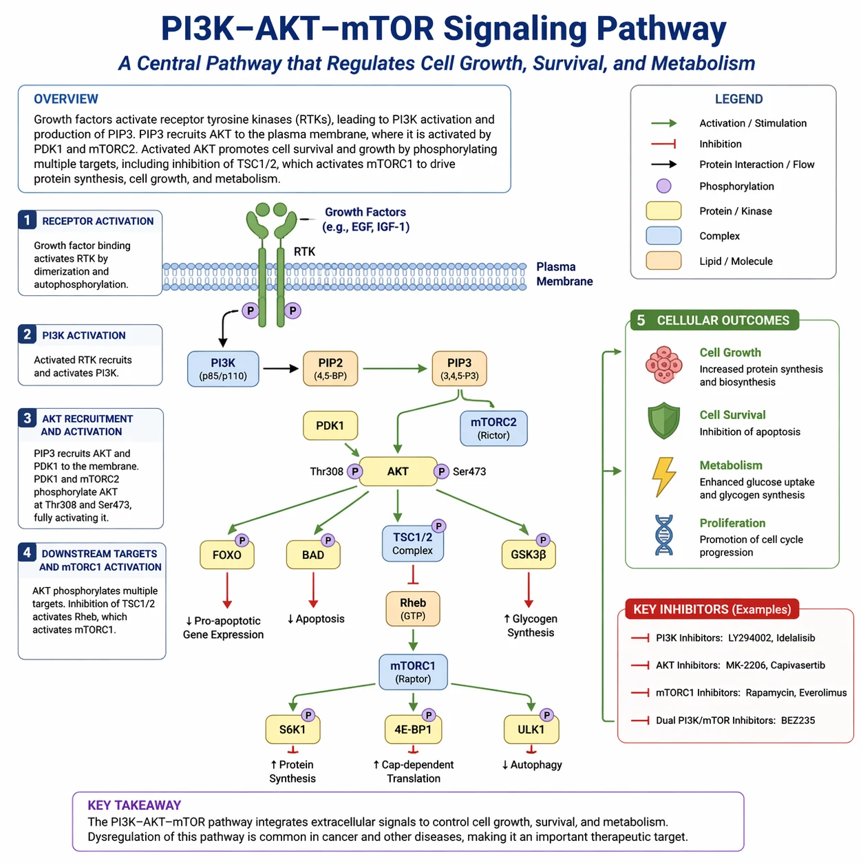 GPT Image 2 Beschrifteter Pfaddiagramm