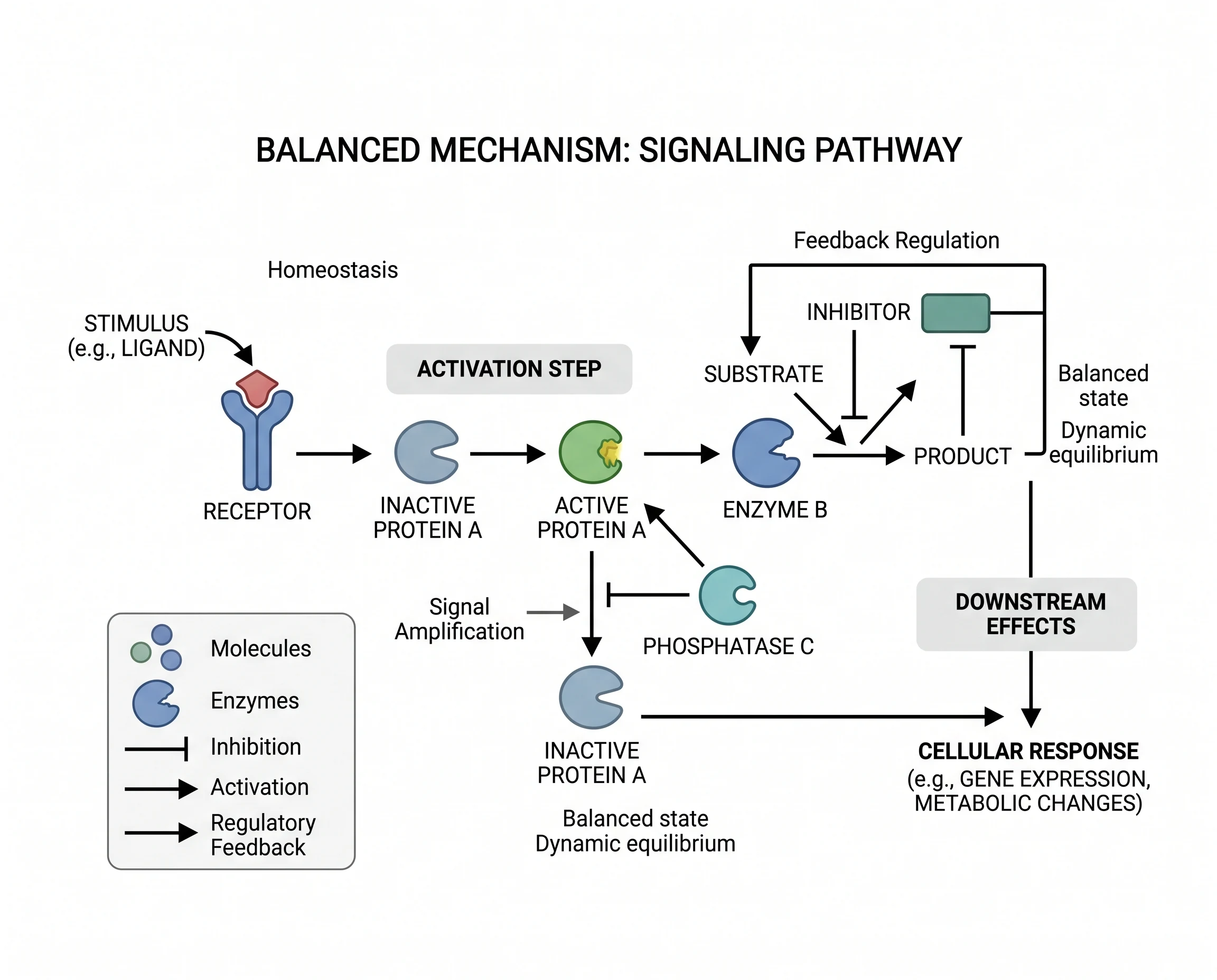 Nano Banana 2 Balanced Mechanism Figure