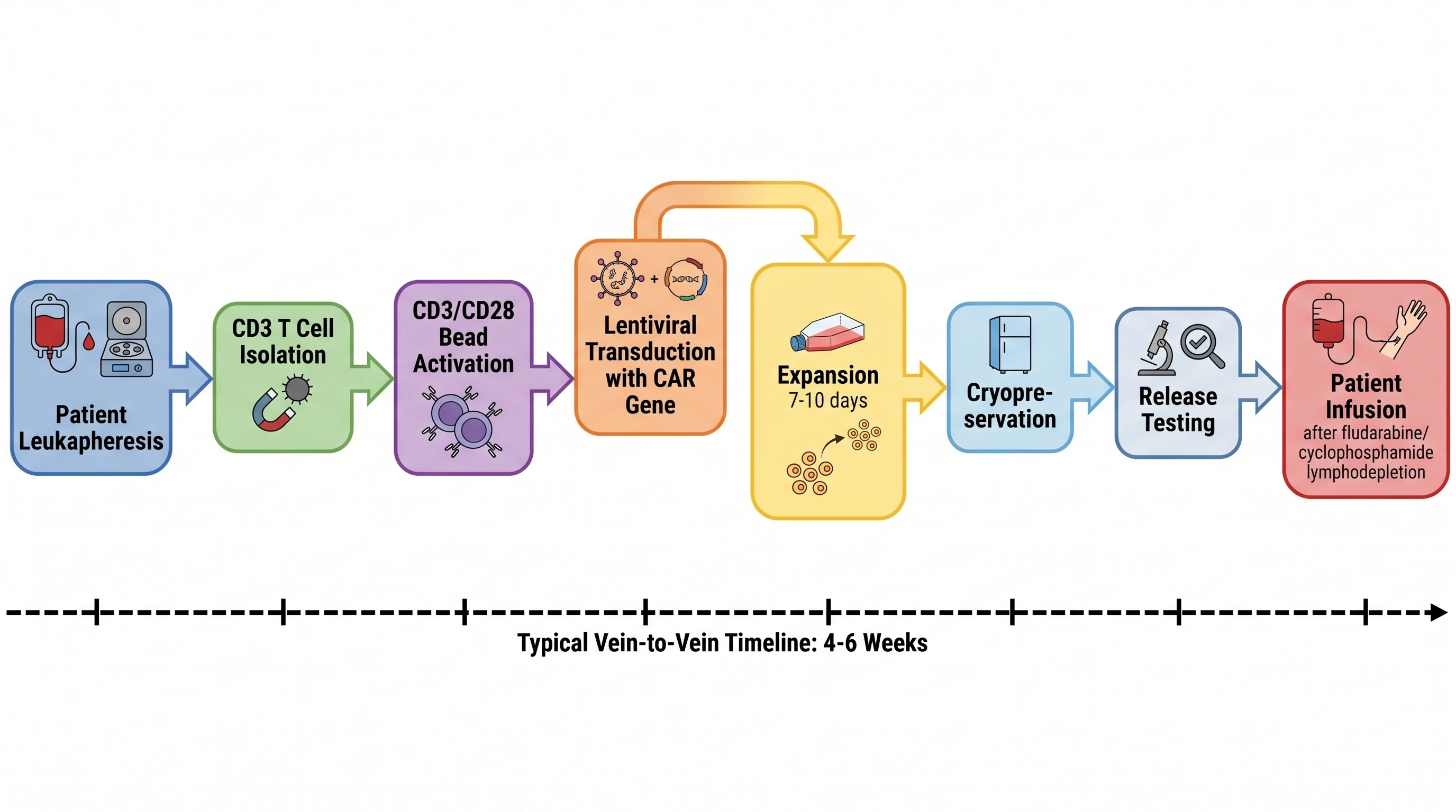 Autologous CAR-T Manufacturing Workflow