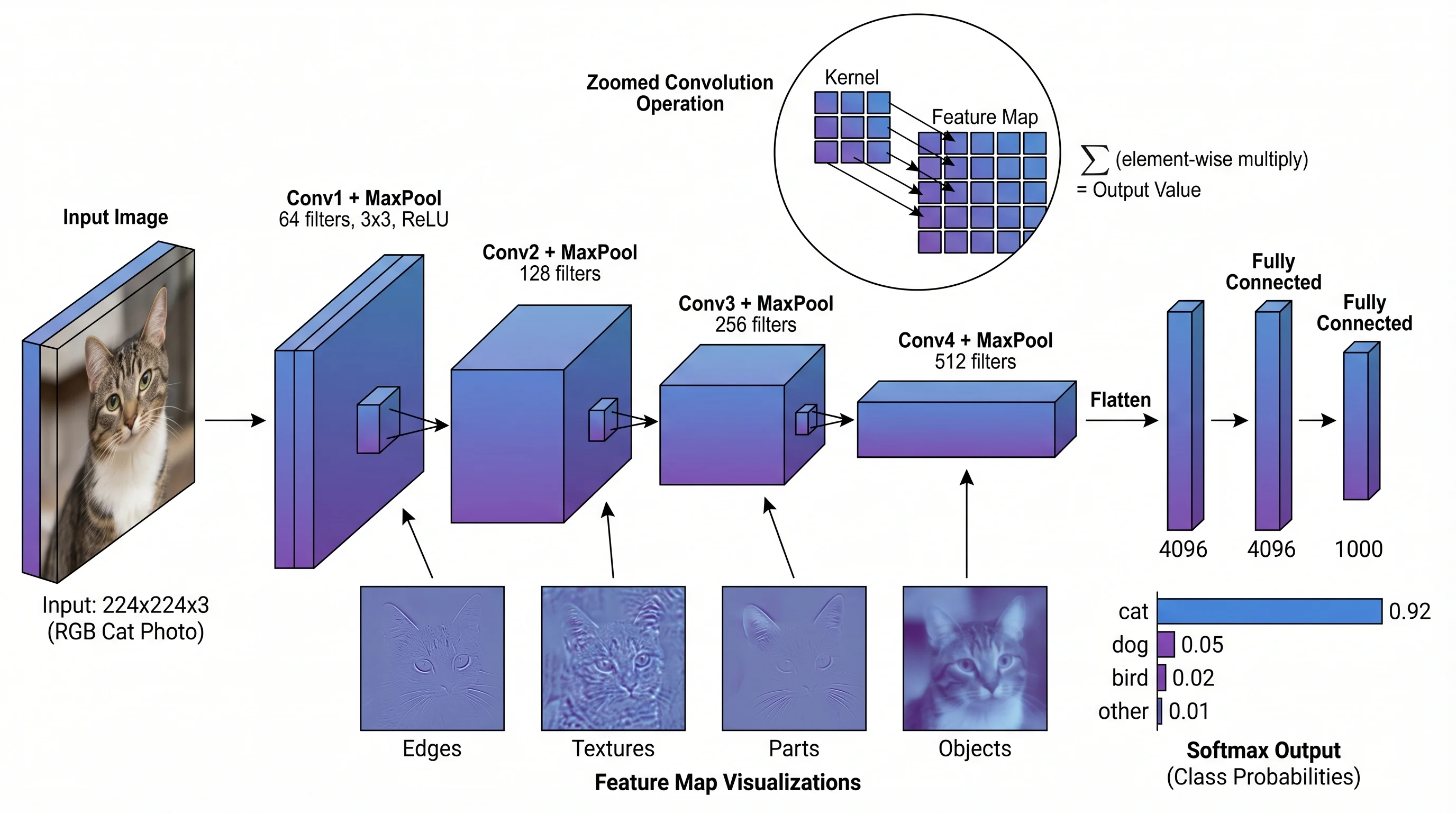 Convolutional Neural Network Architecture