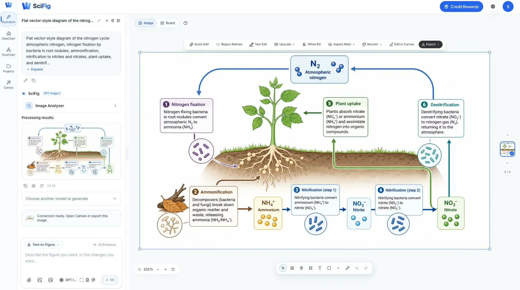 Vector Canvas