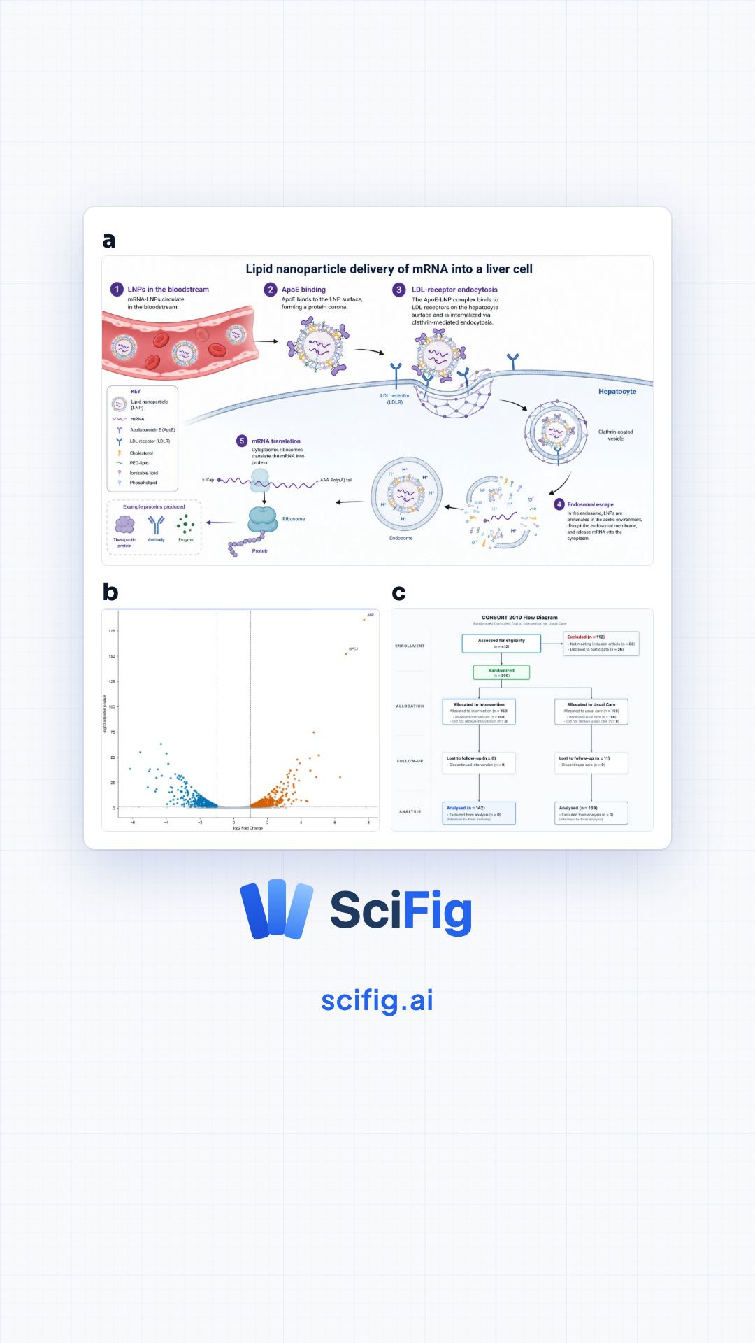 SciFig vertical introduction