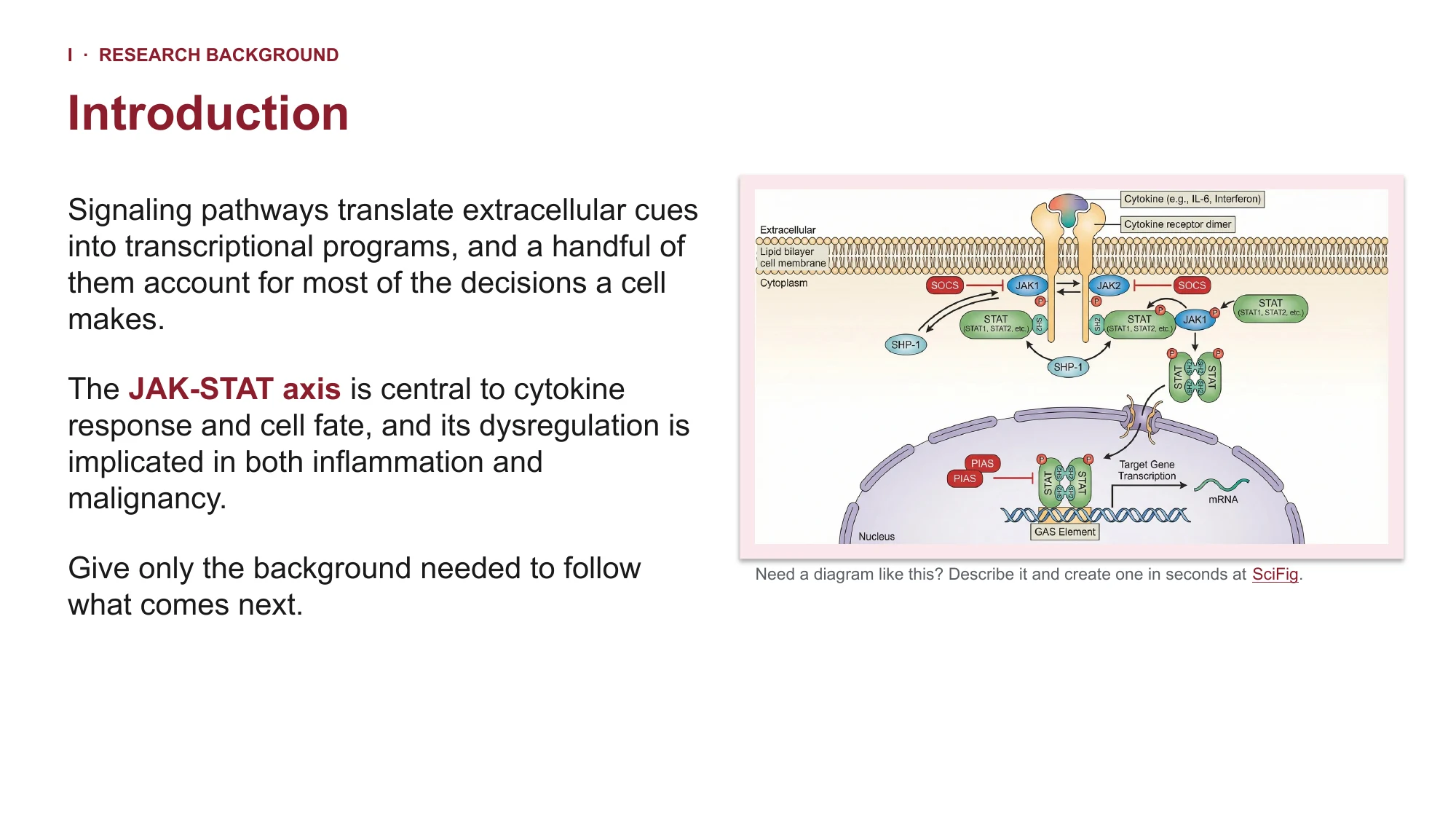 Cell biology presentation template slide in PowerPoint, figure beside body text at 16:9