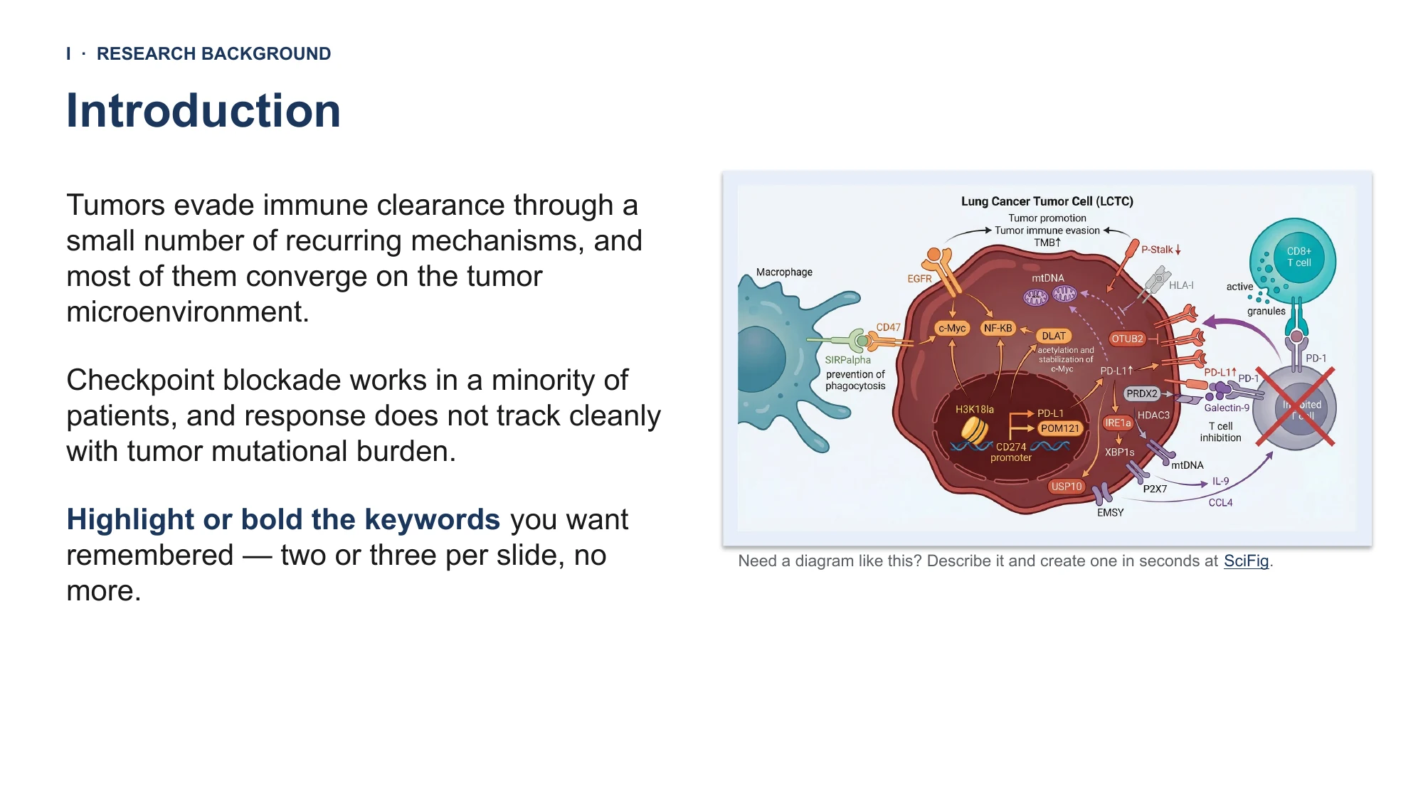 Free conference ppt sample for PowerPoint — 16:9 academic deck with a tumor immunology figure set included Conference ppt sample slide in PowerPoint: a pathway figure beside body text at 16:9
