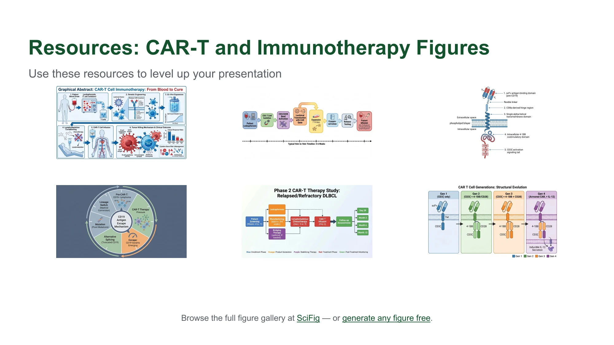 Journal club examples: the CAR-T and immunotherapy figure set included in the PowerPoint deck
