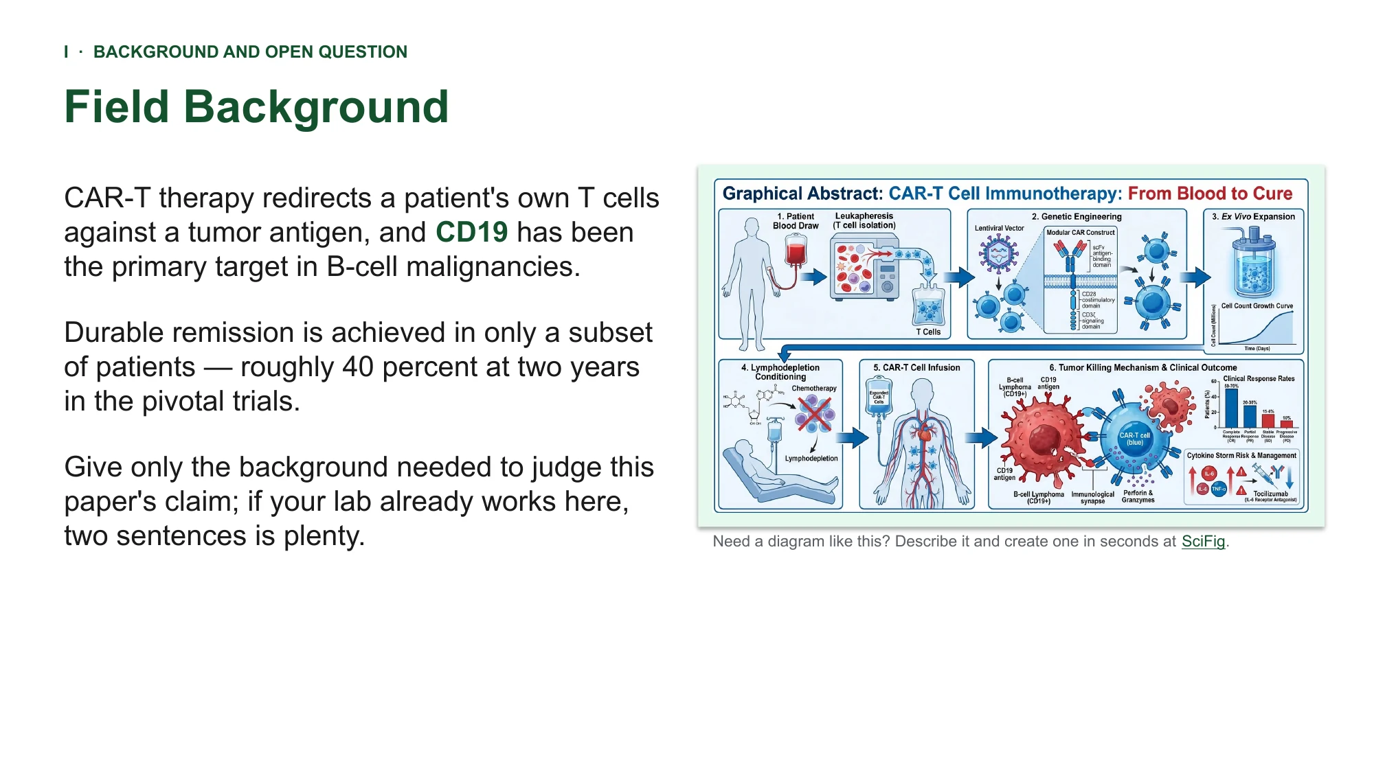 Free journal club presentation example for PowerPoint — 16:9 academic deck with a CAR-T and immunotherapy figure set included Journal club presentation example in PowerPoint: a figure slide with body text at 16:9