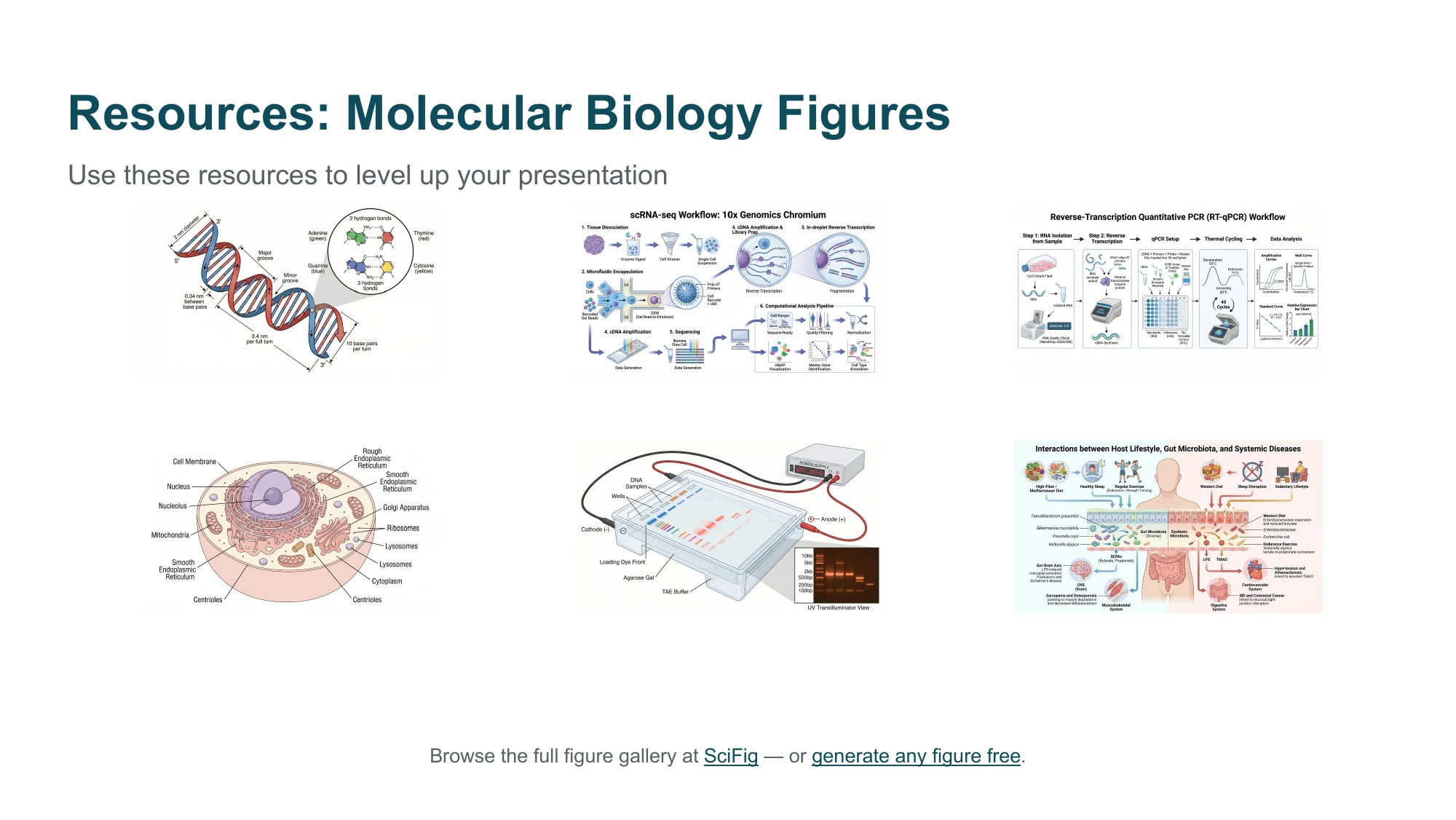 Lab meeting ideas: the molecular biology figure set that ships inside the PowerPoint deck
