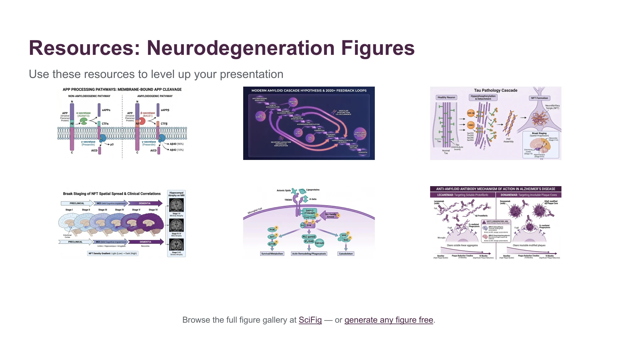 Thesis defense examples: the neurodegeneration figure set included in the PowerPoint deck