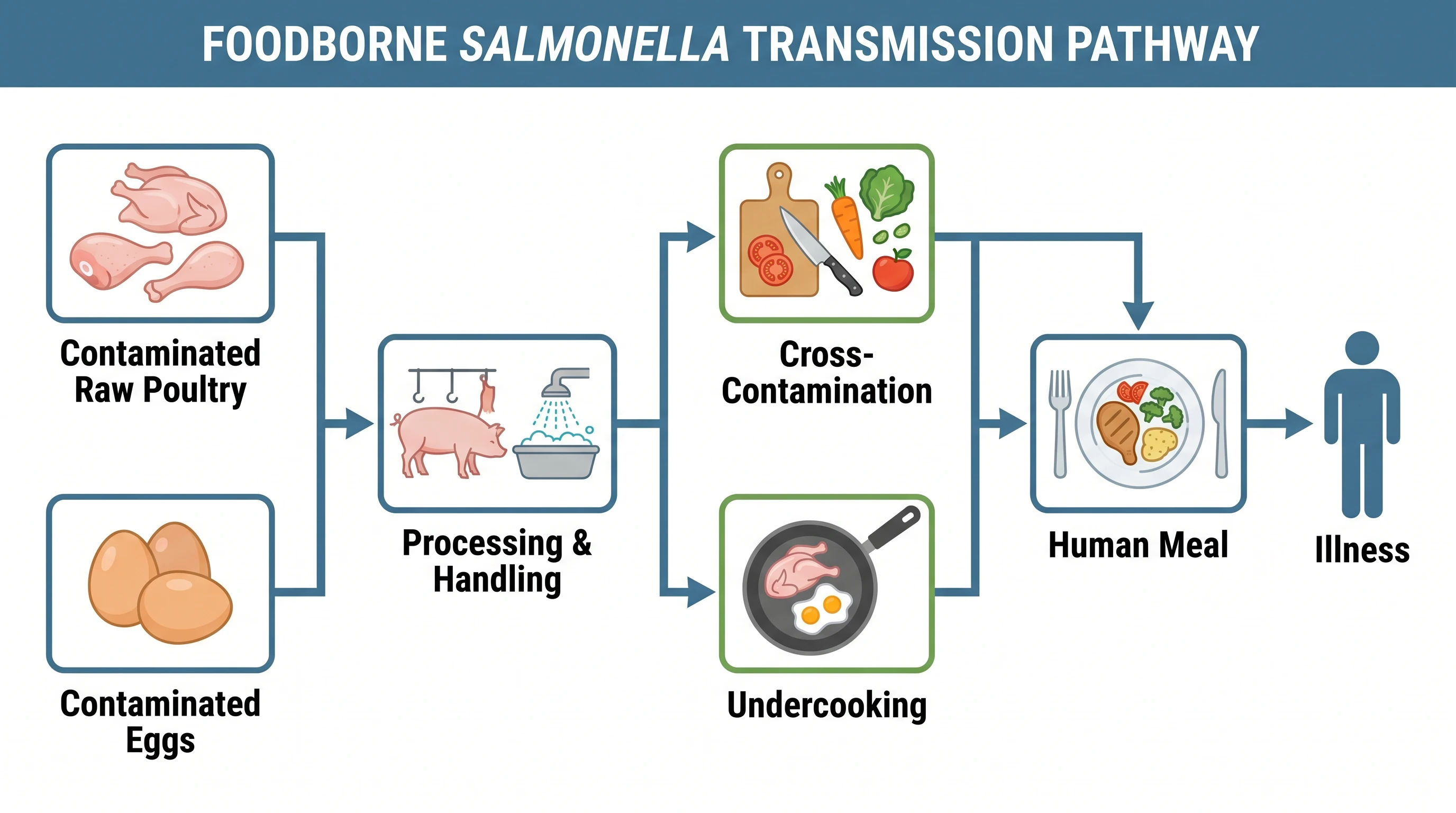 Trace the farm-to-fork pathway with its control points