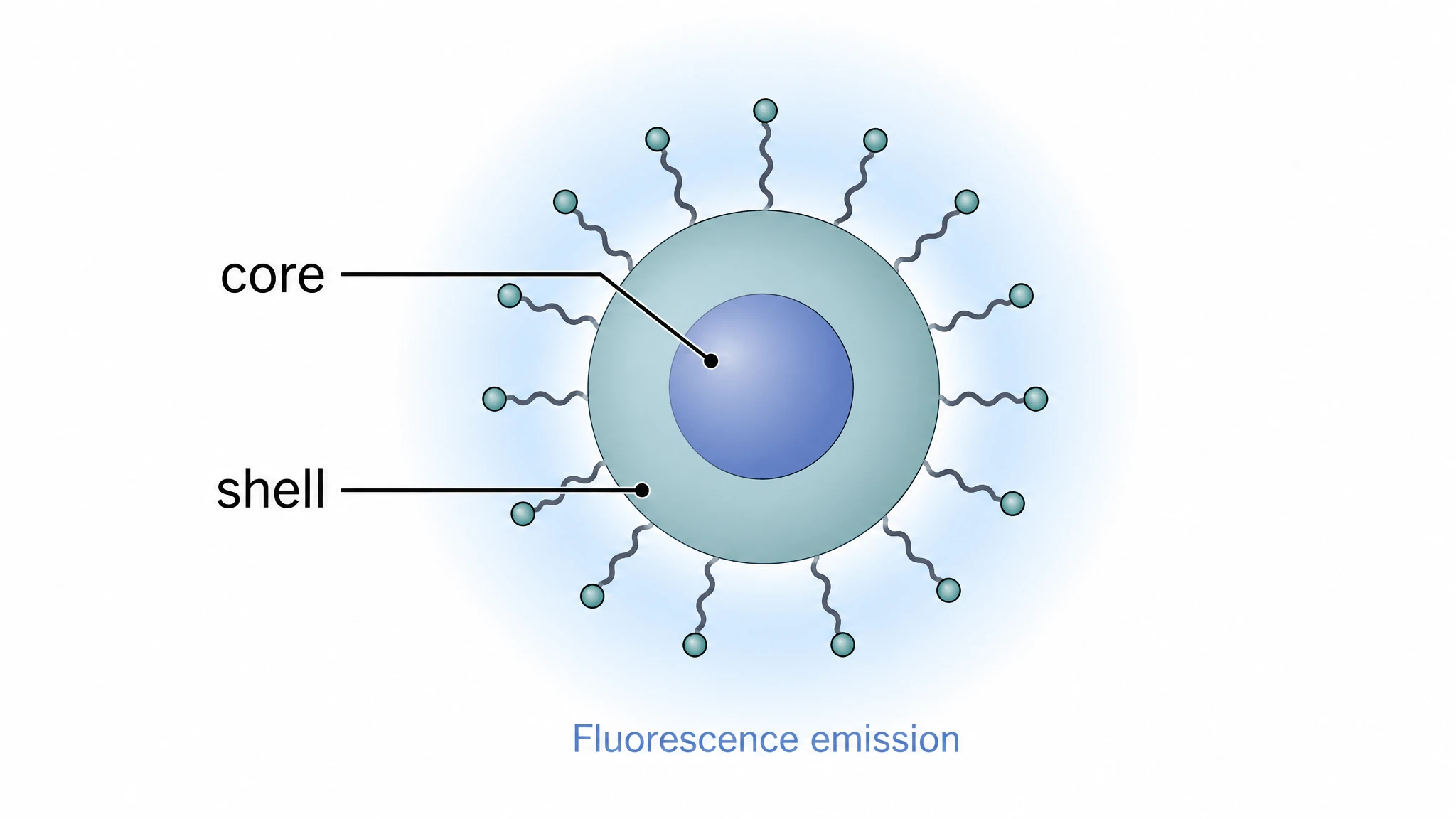 Quantum dot as a core–shell semiconductor