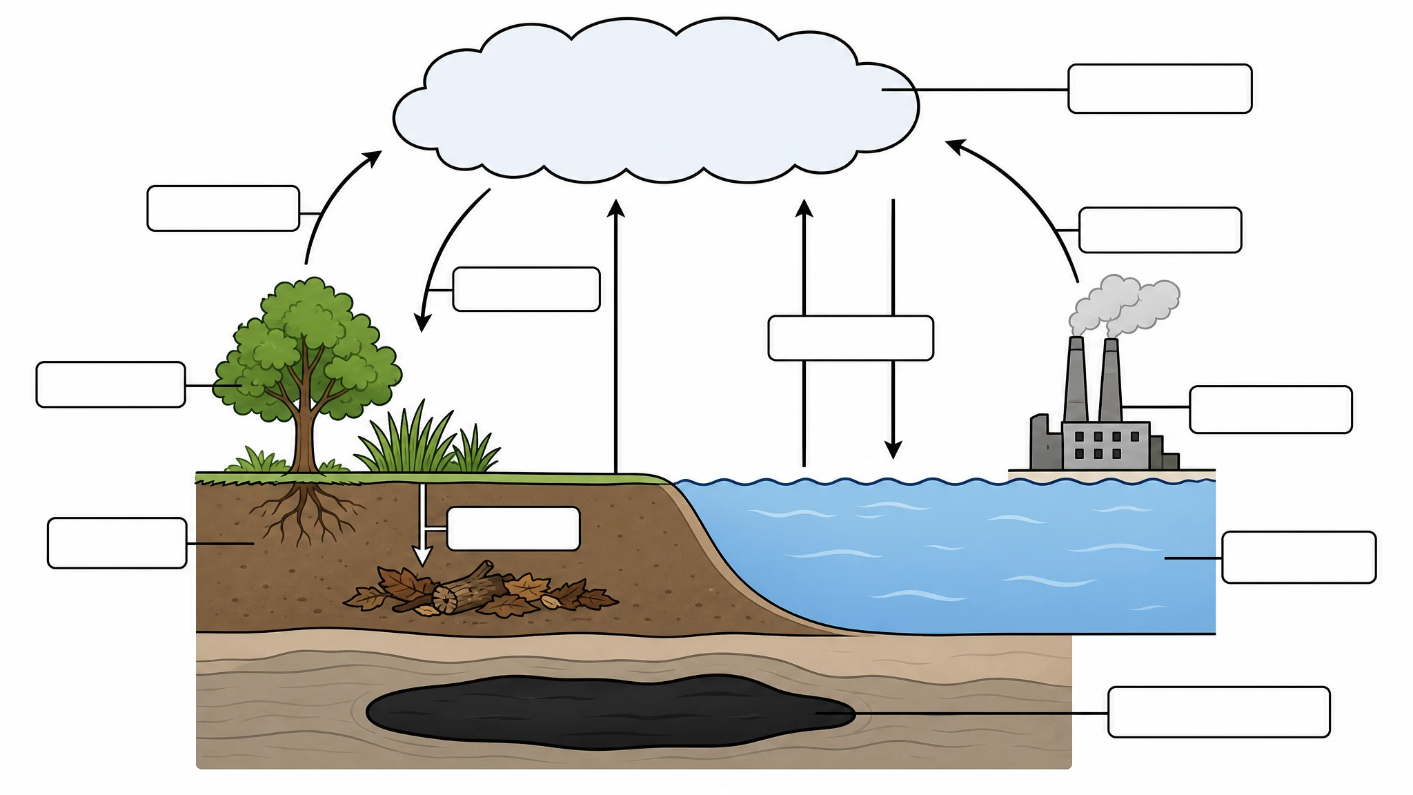Blank unlabeled carbon cycle diagram template with empty label lines for classroom worksheet use (Figure generated with SciFig)